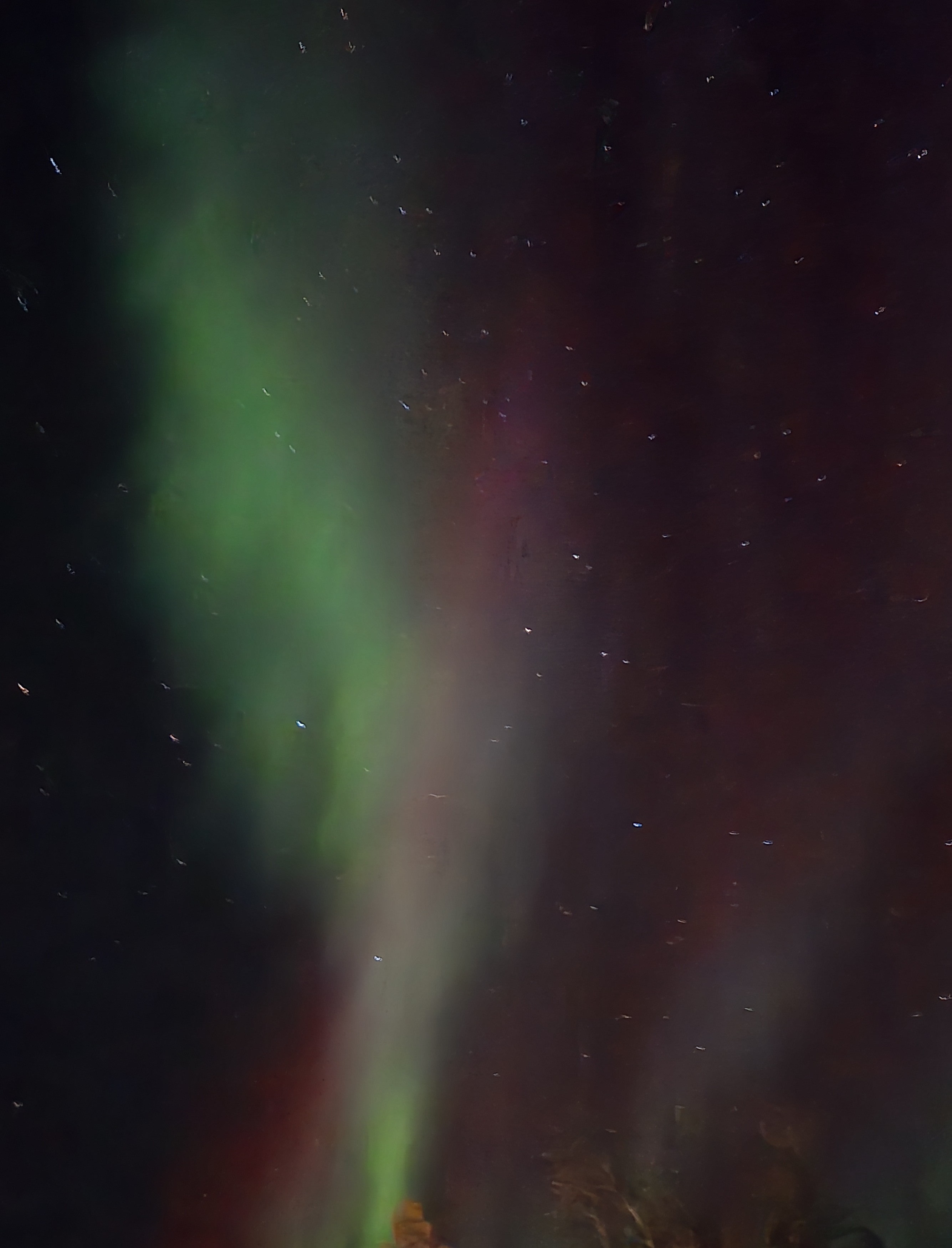 Aurora (Courtesy of Rei)