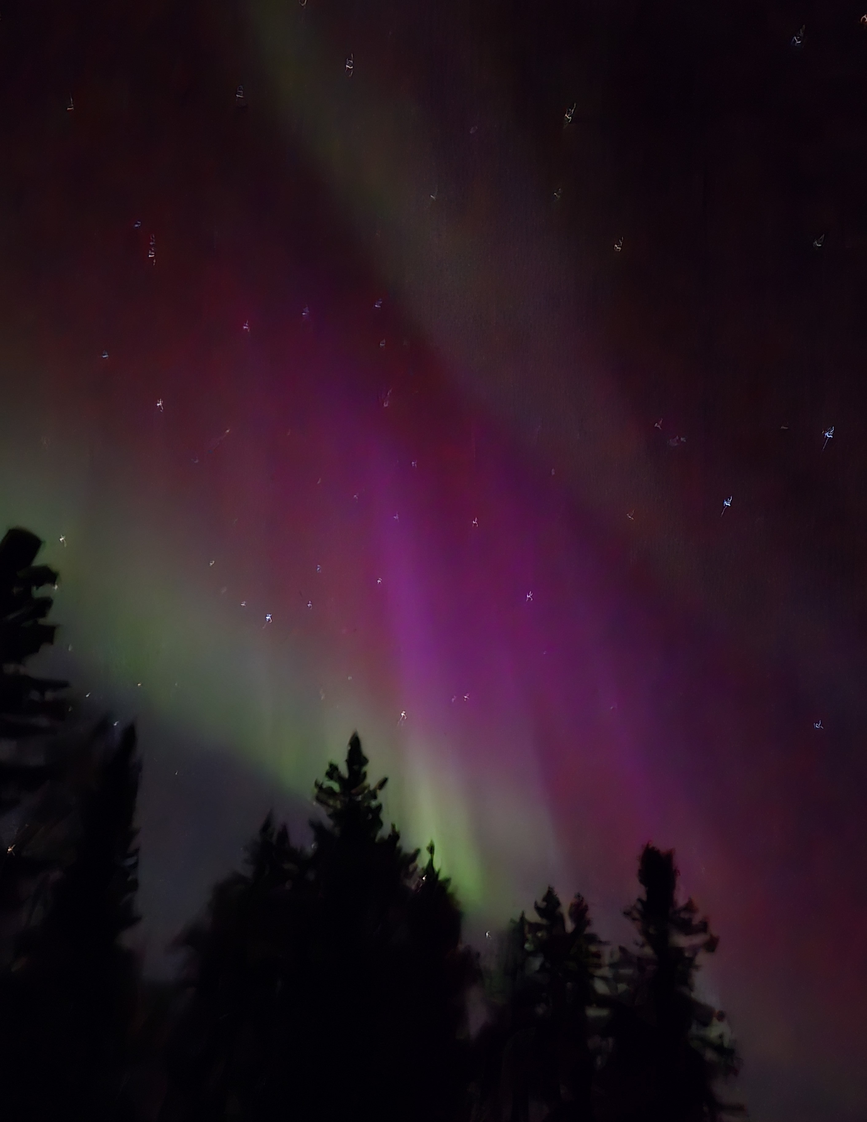 Aurora (Courtesy of Rei)