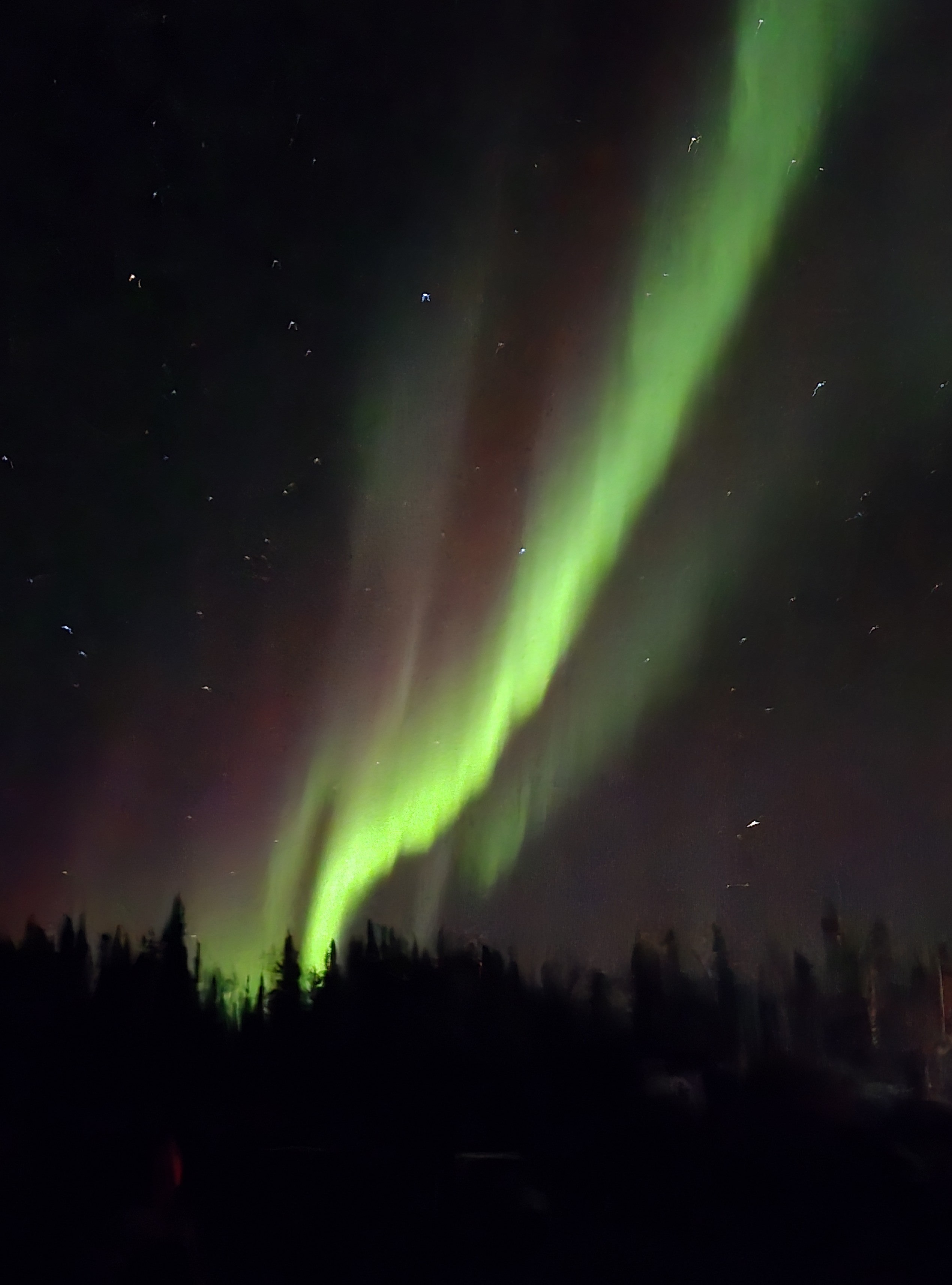 Aurora (Courtesy of Rei)