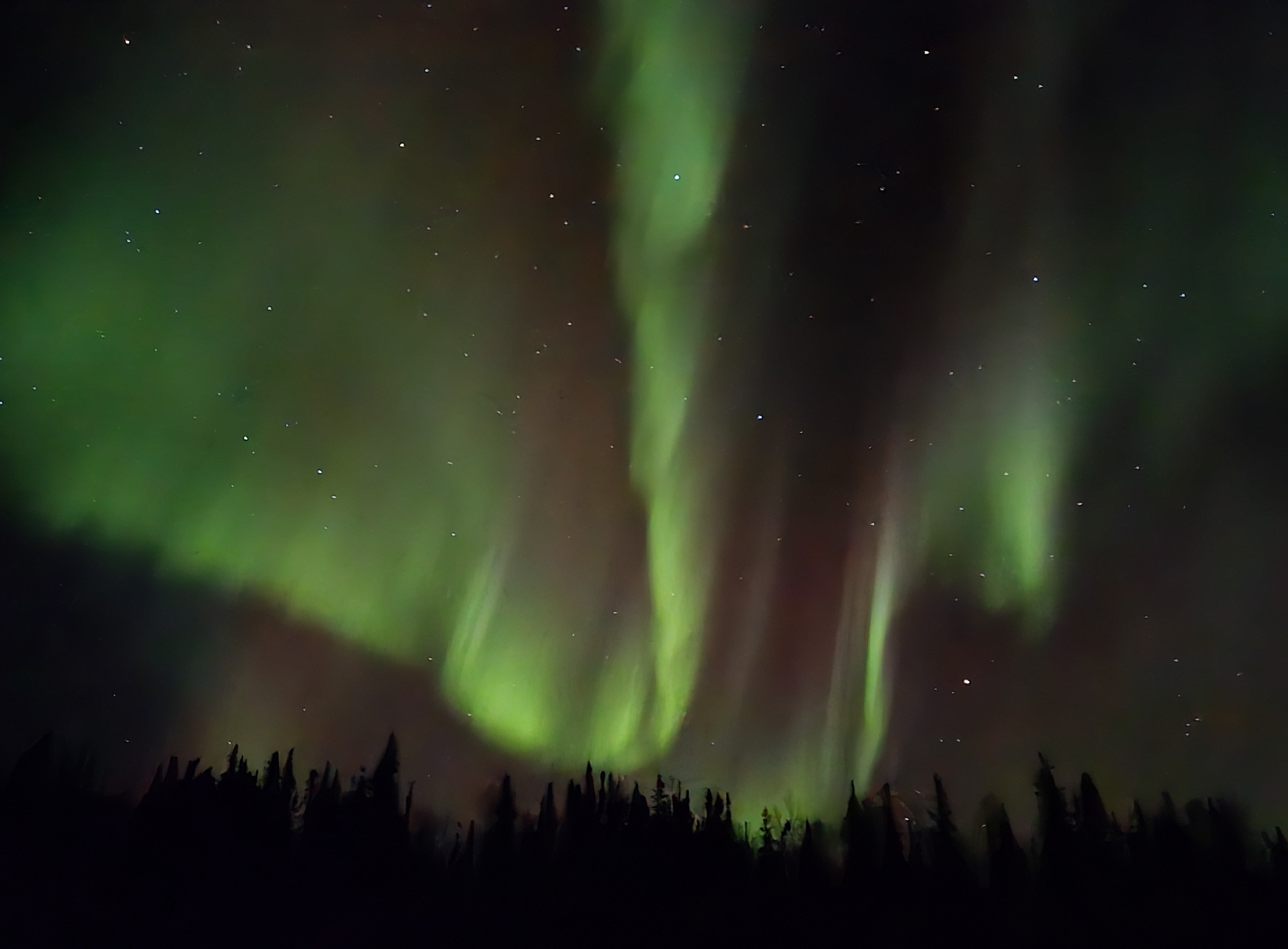 Aurora (Courtesy of Rei)