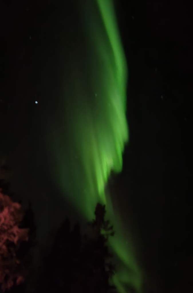 Aurora