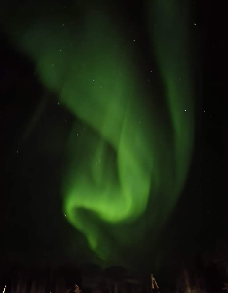 Aurora