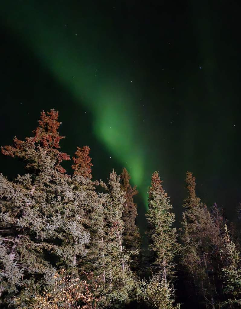 Aurora (courtesy of Rei)