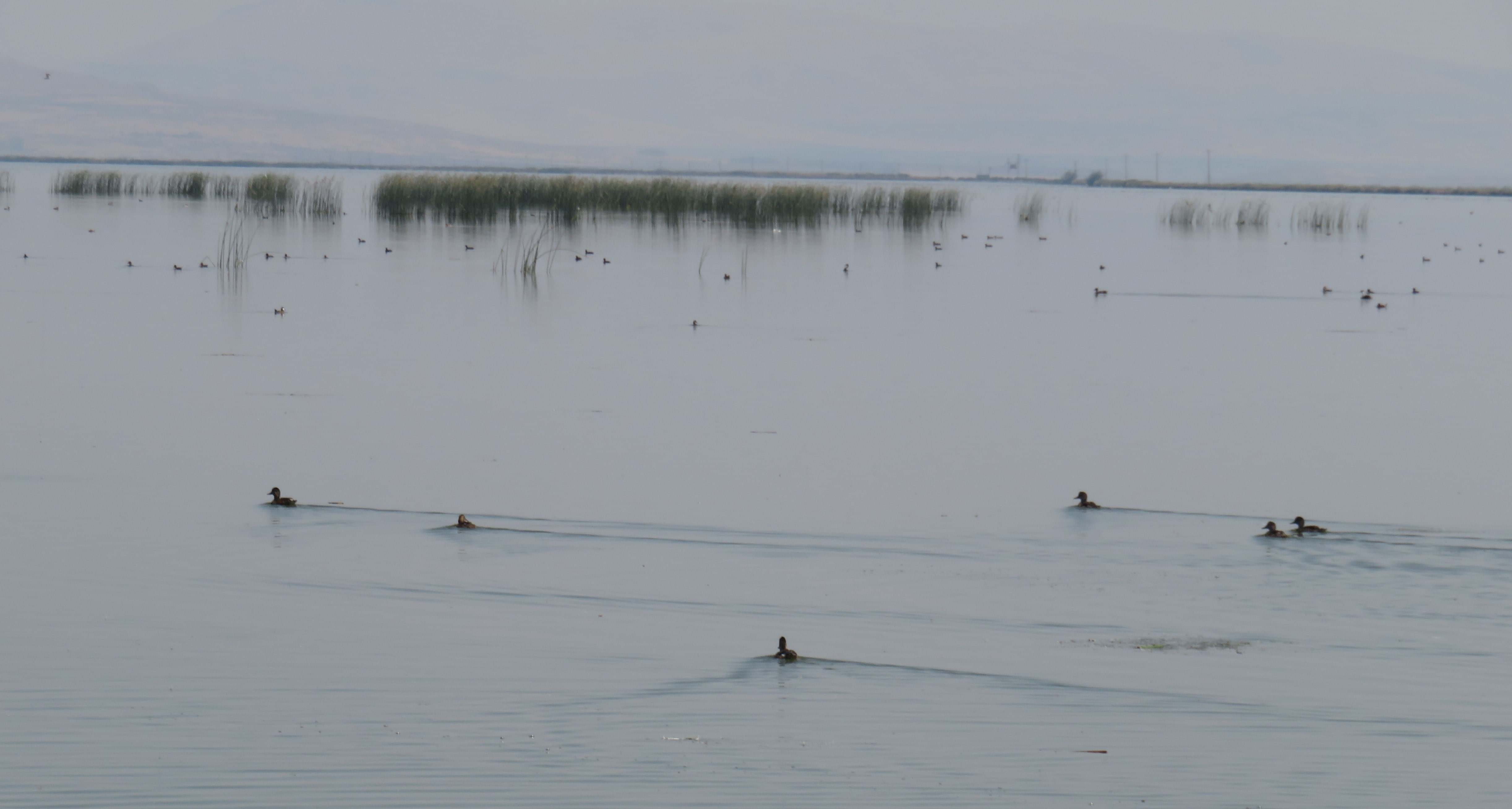Klamath National Wildlife Refuge