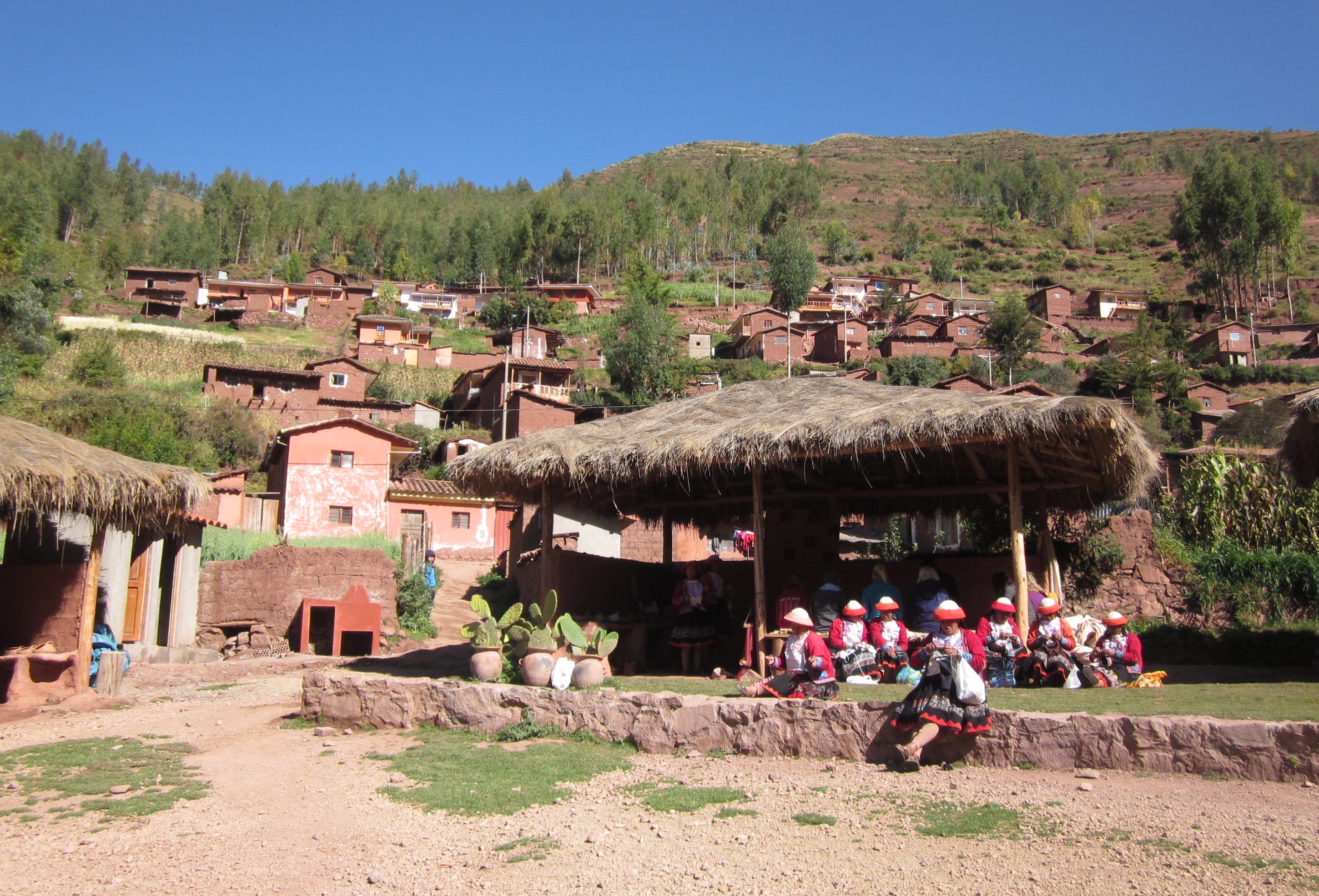 Ccaccaccollo Community