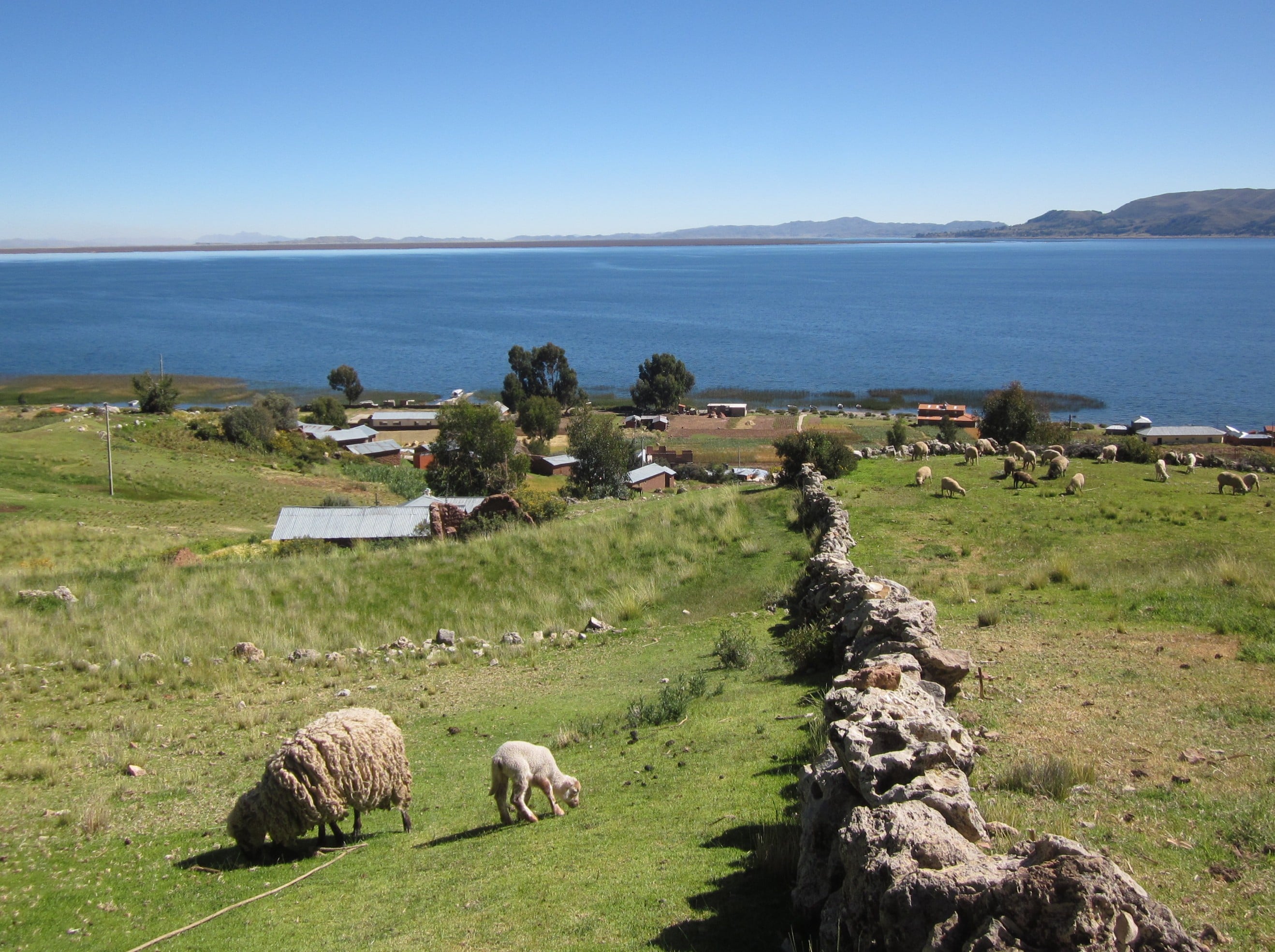View from Mama Aurora's Yard