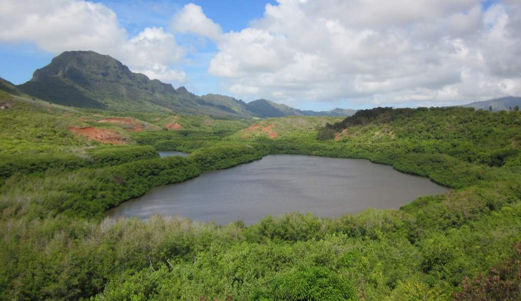 Menehune Fishpond