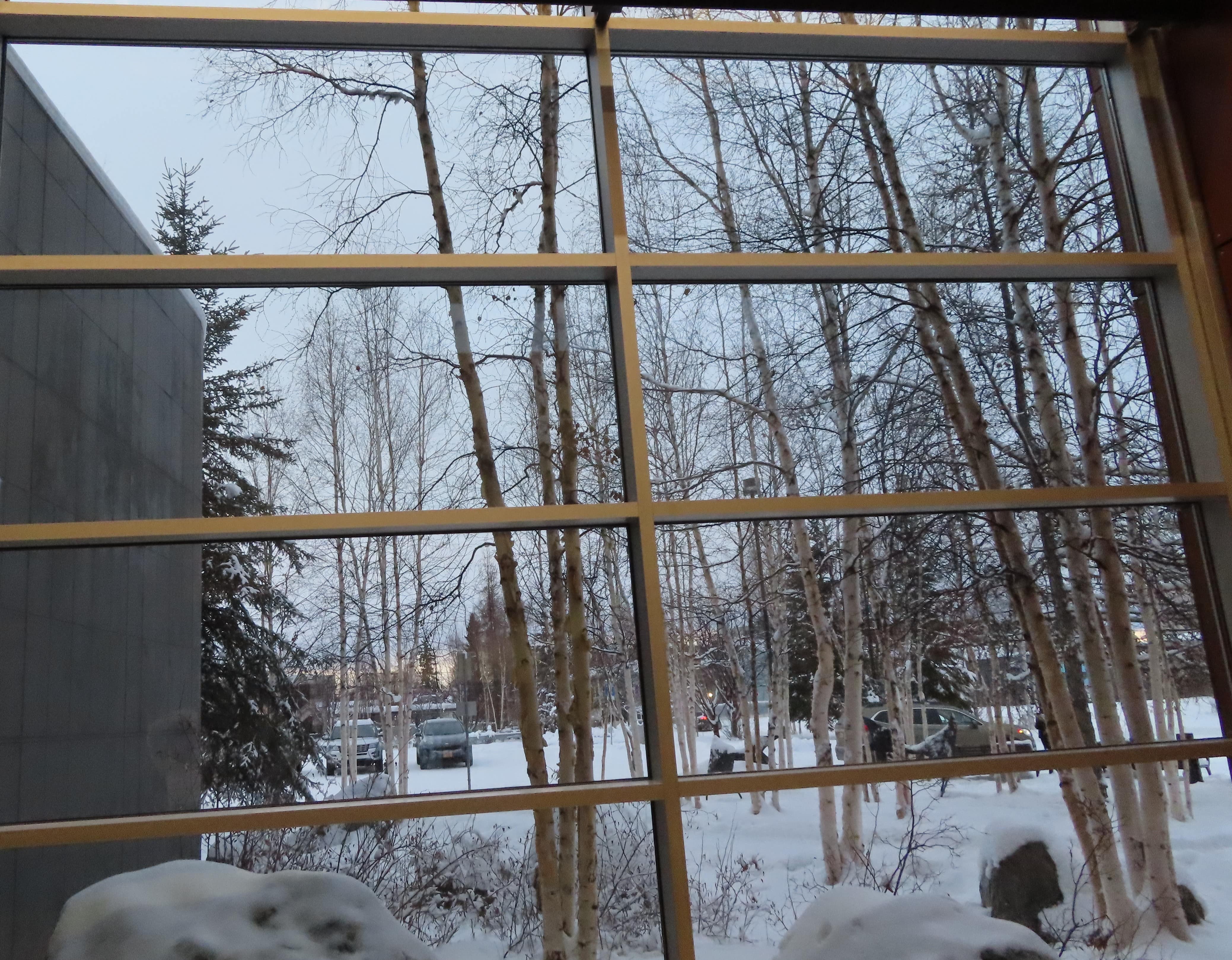 View from inside of Morris Thompson Culture & Visitors Center