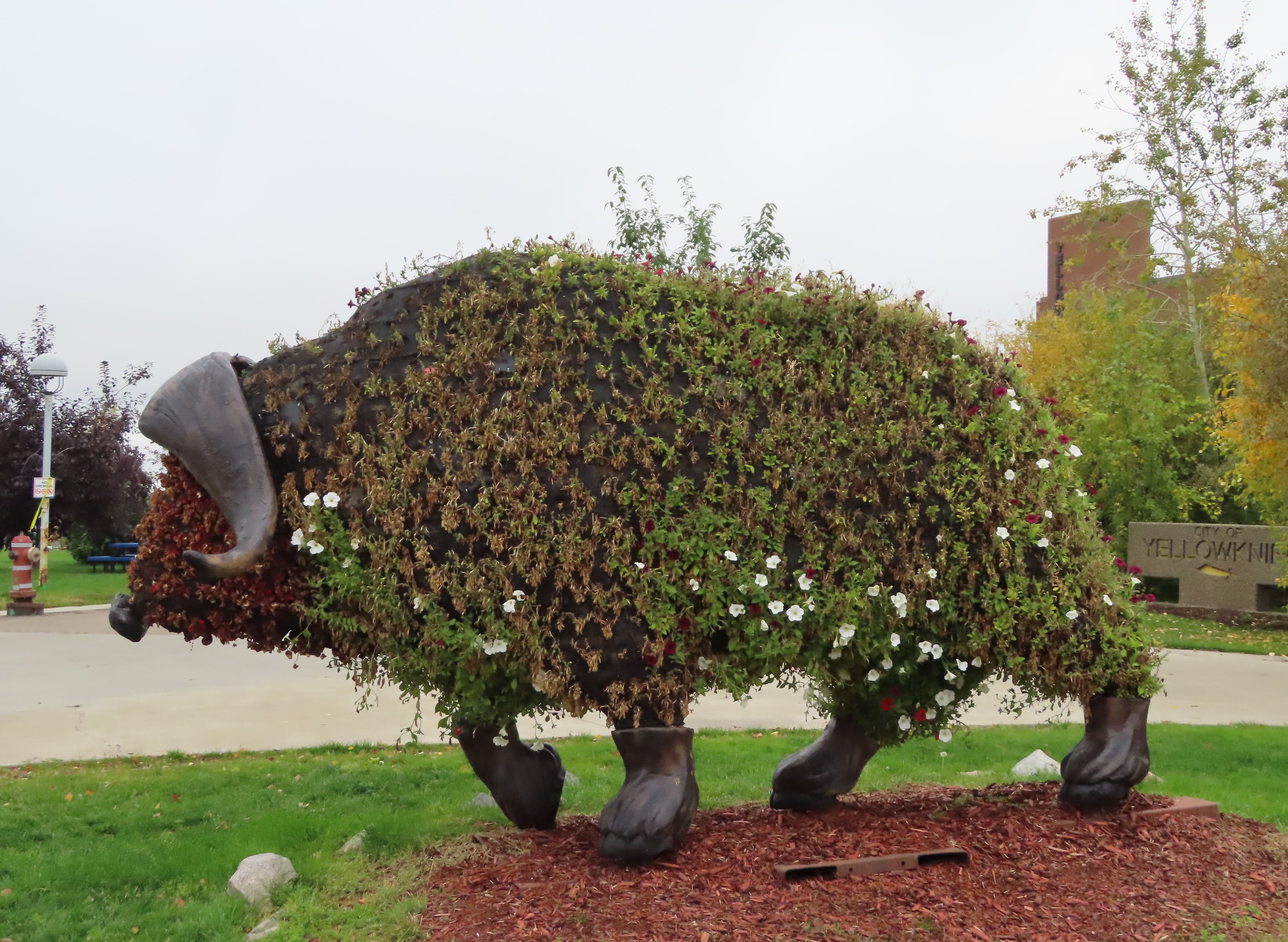 Muskox Sculpture