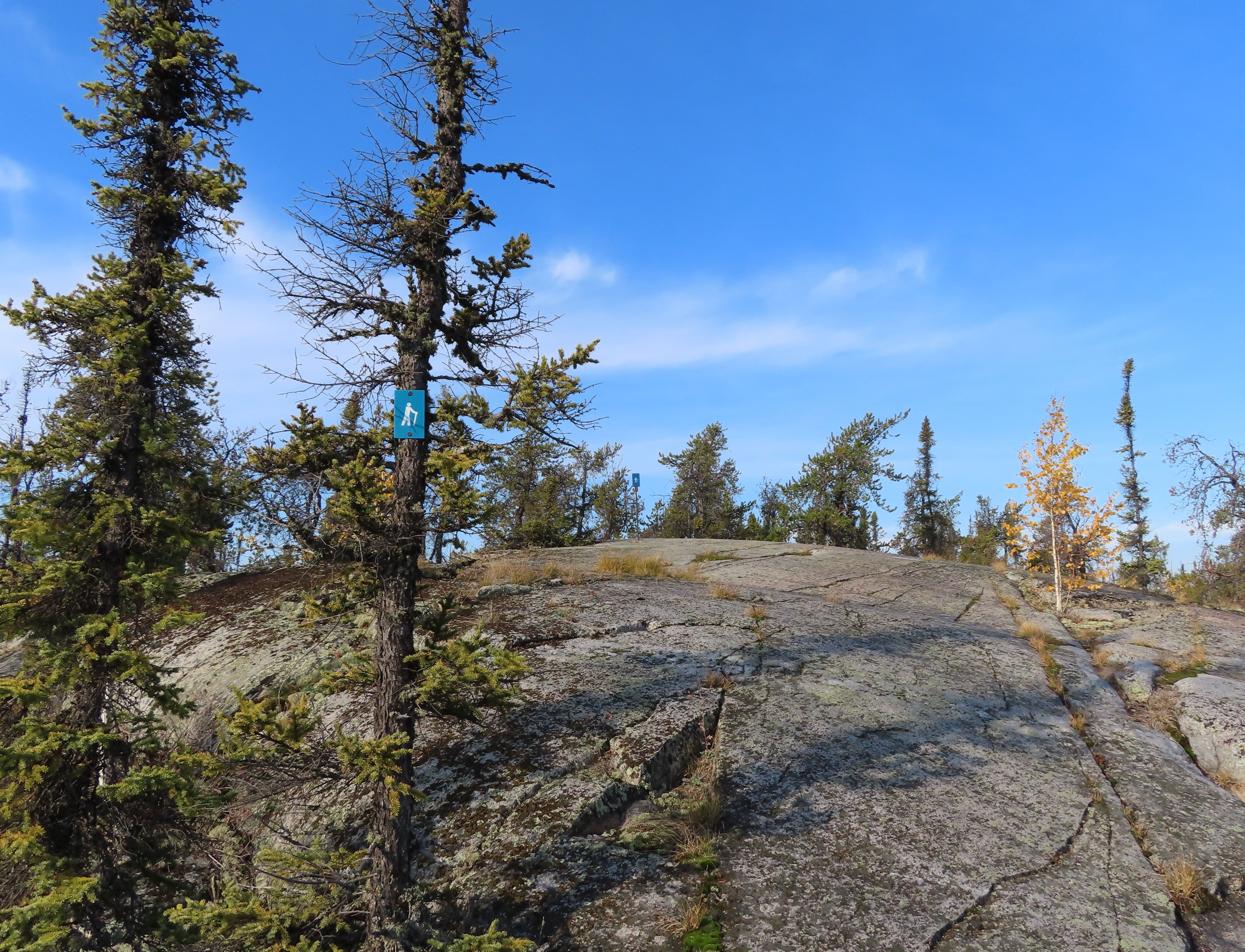 Prelude Lake Natural Trail