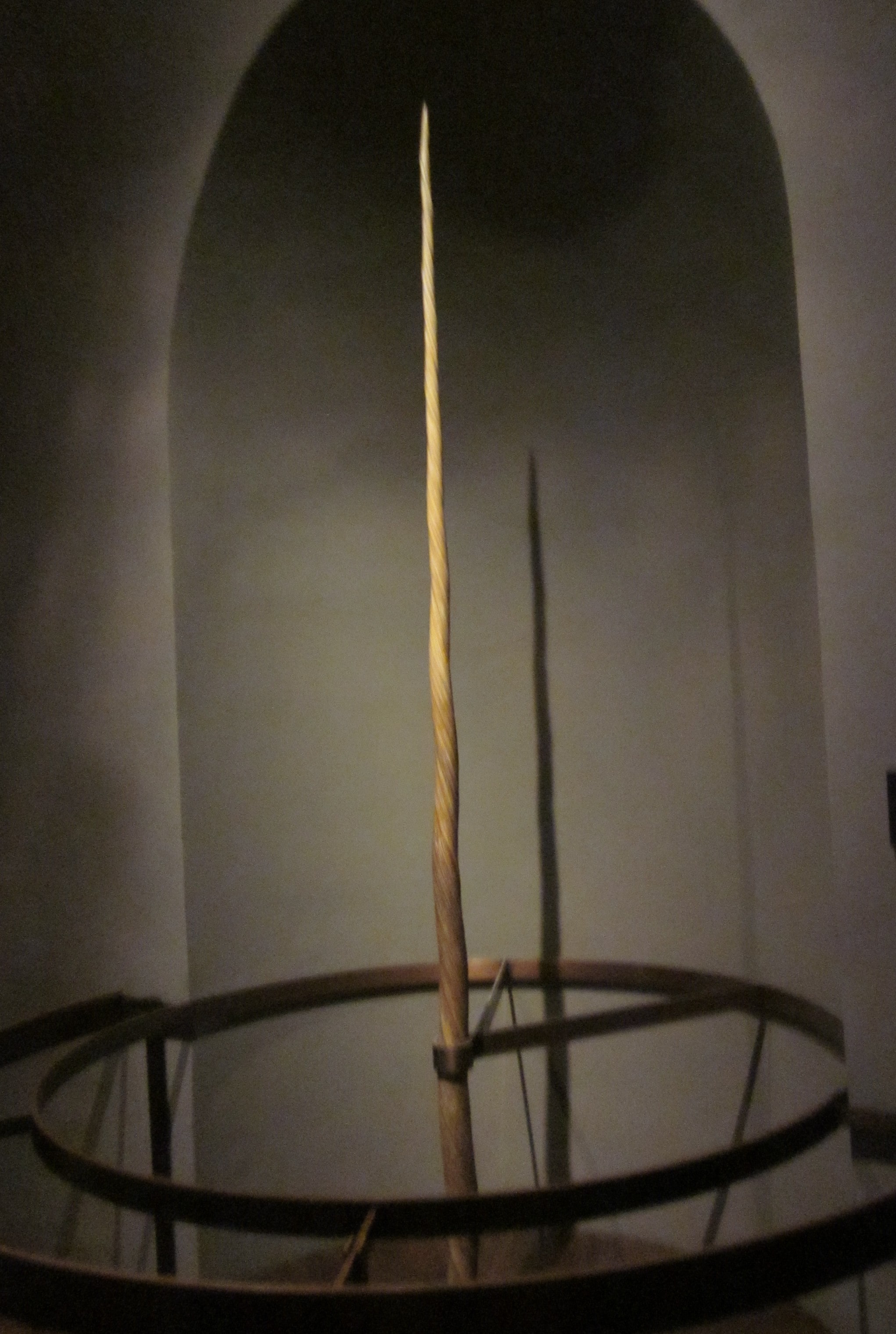 "Unicorn Corn" -- actually a narwhal tusk