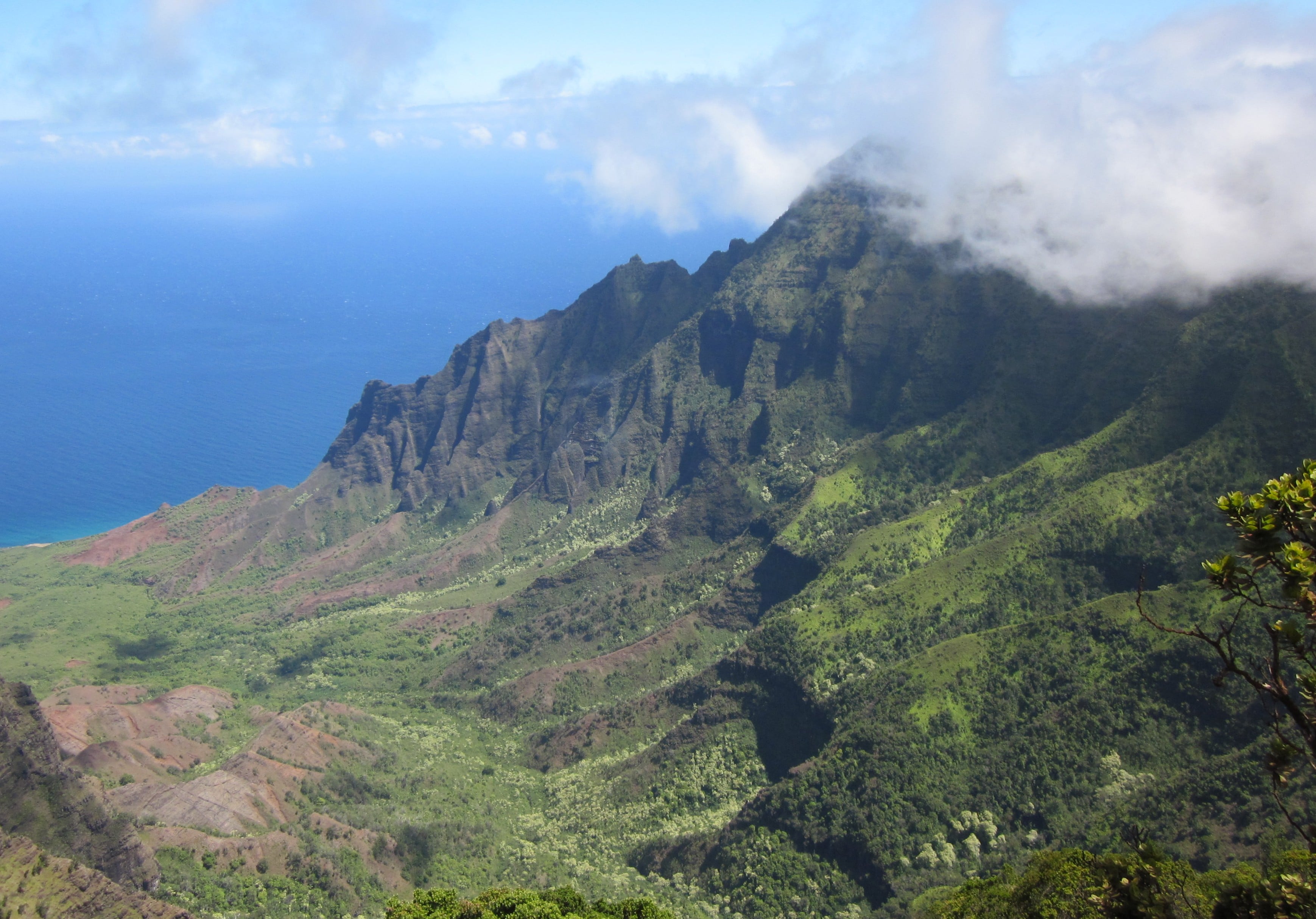 Great view from the trail