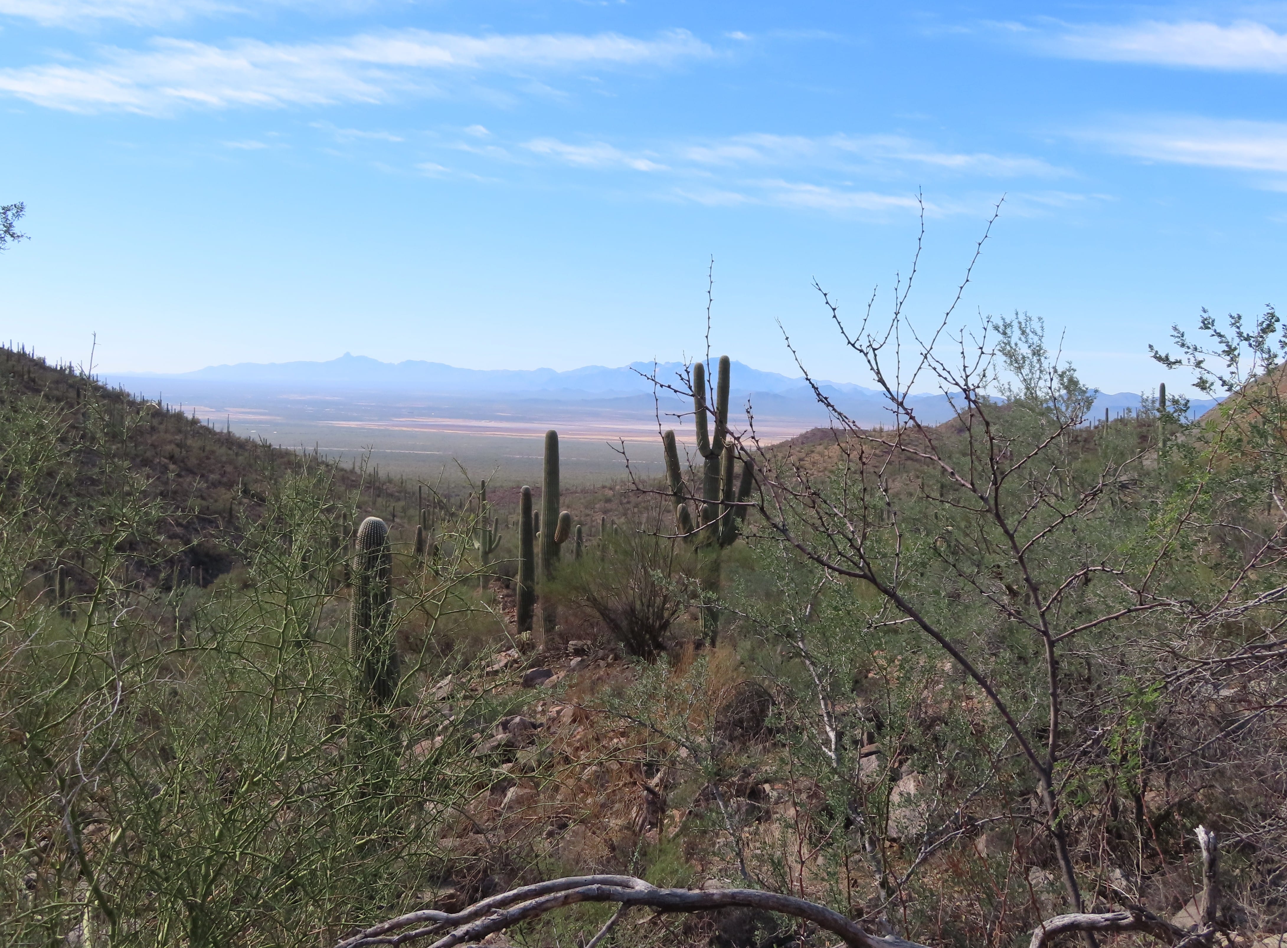 King Canyon Trail view