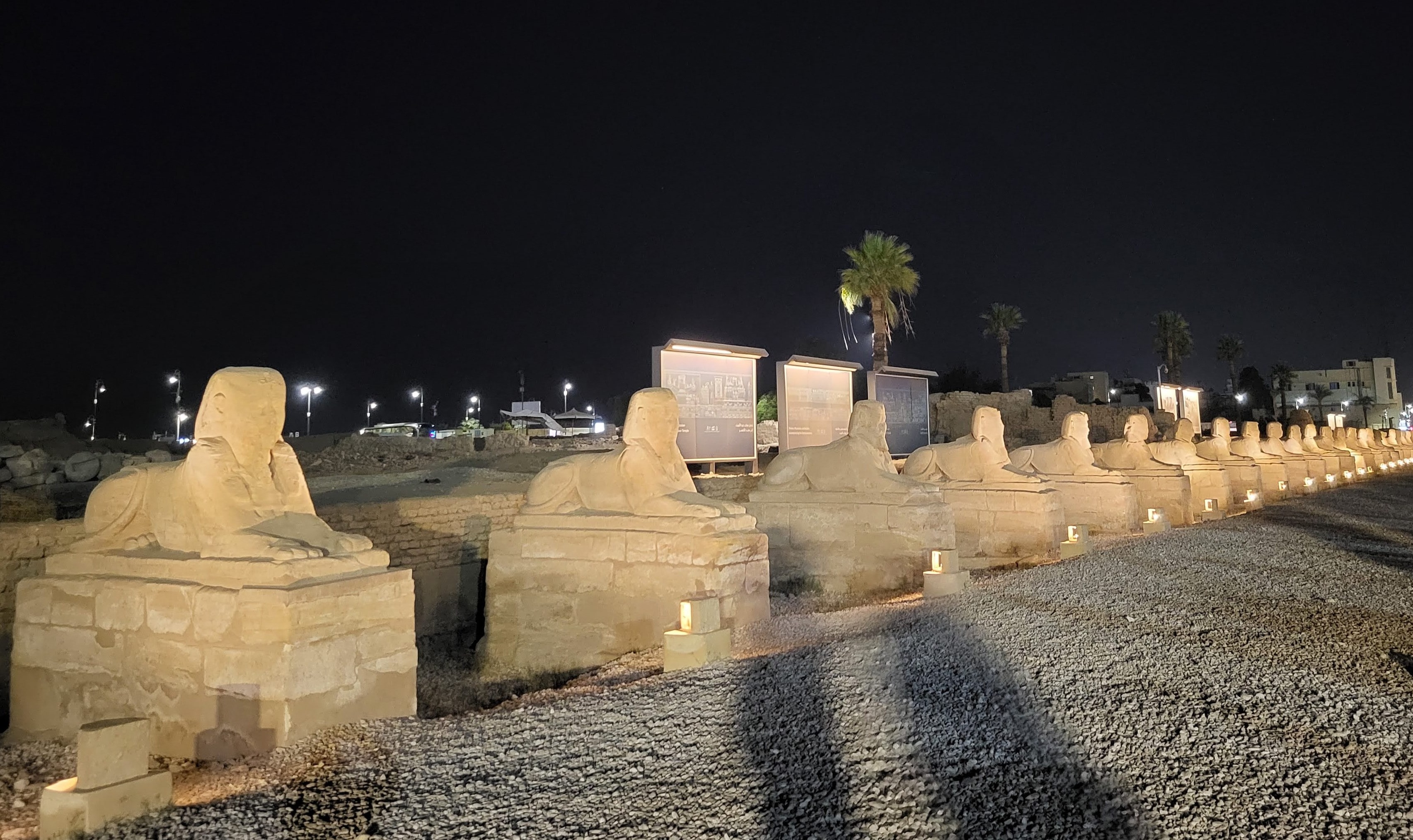 Avenue of Sphinx at Night