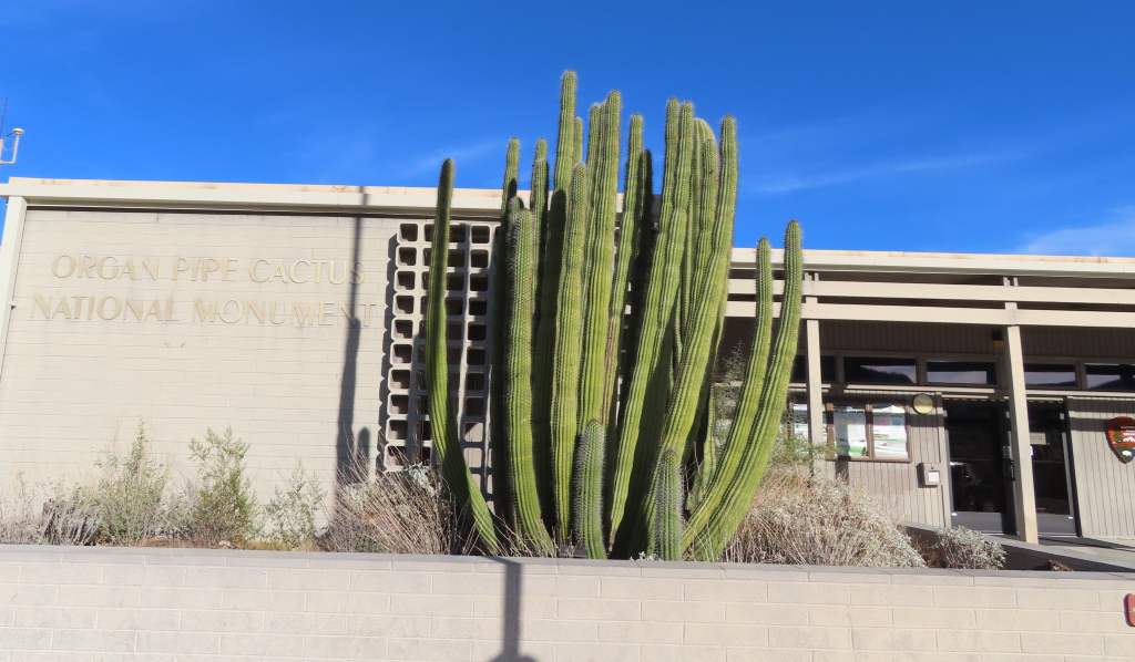 Organ Pipe Cactus NM Visitor Center