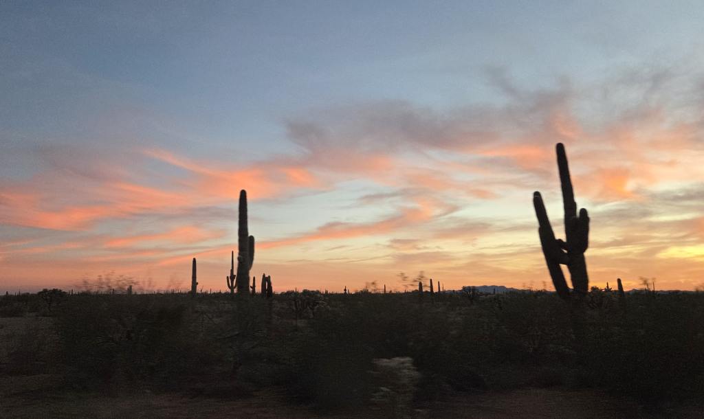 Beautiful view at sunset