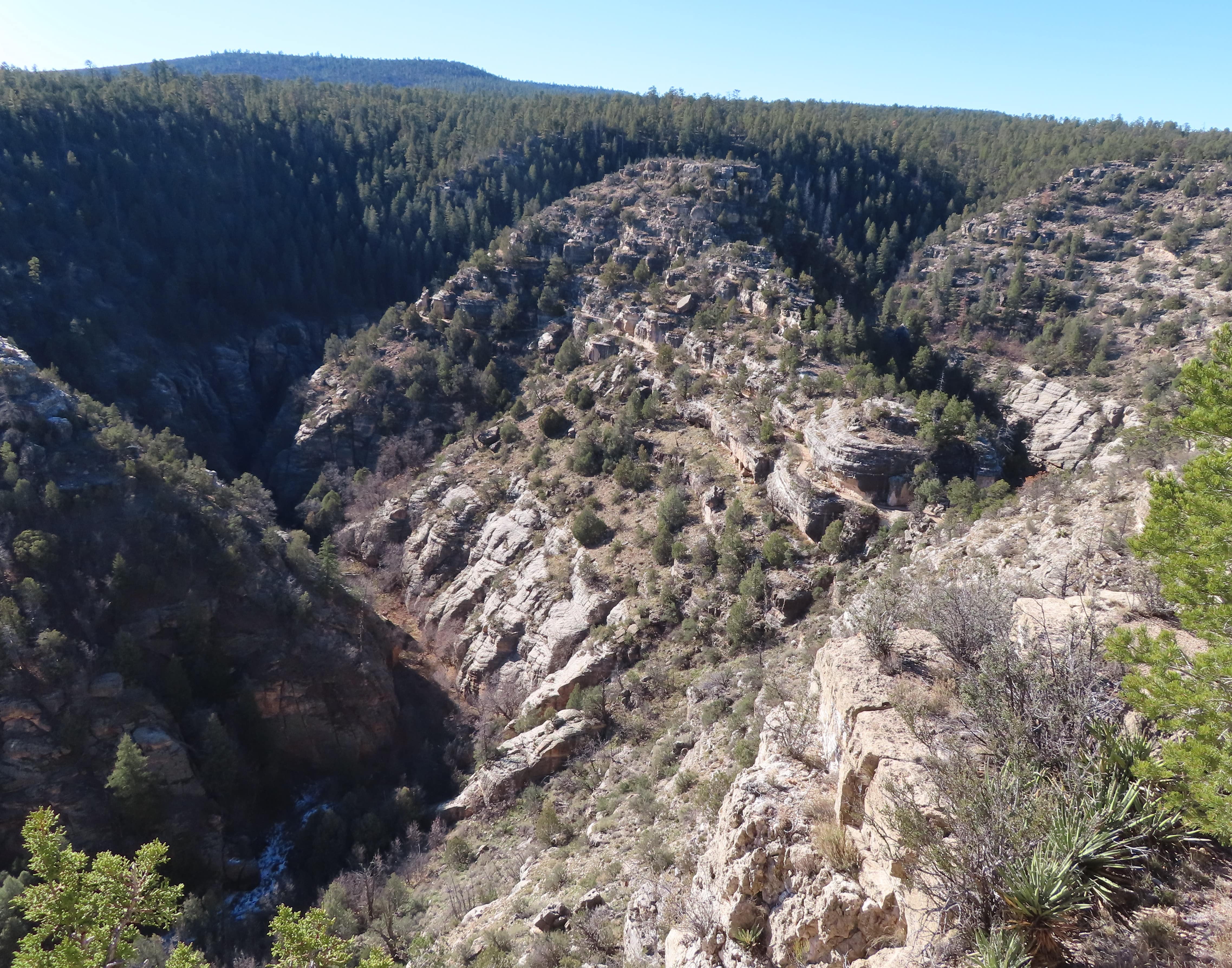 Walnut Canyon view from Rim Trail