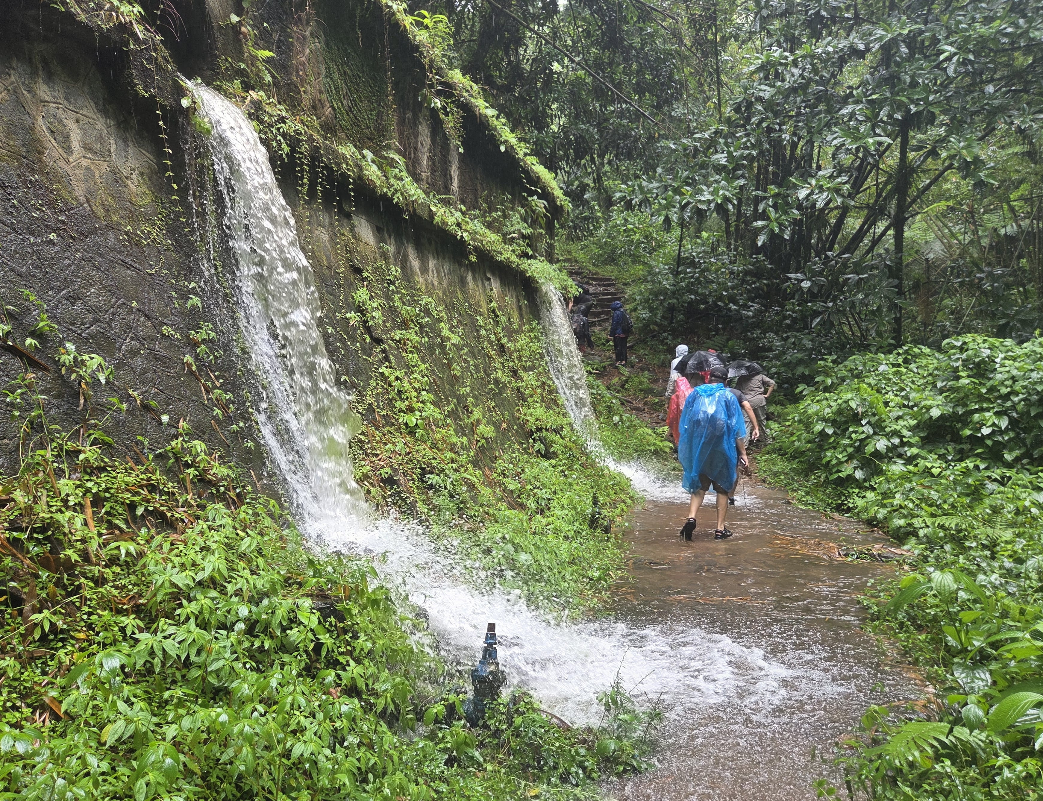 It was a very wet hike.