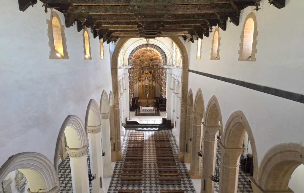 Magnificent cathedral i terior