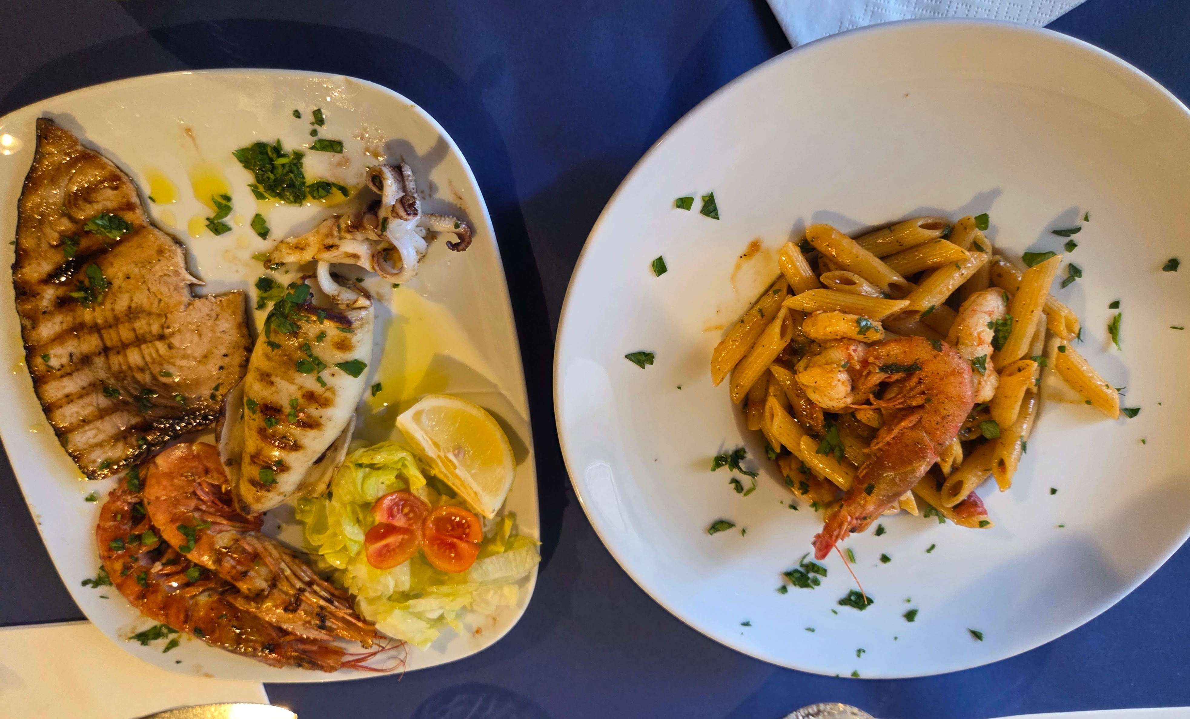 Mixed Grilled Seafood and Prawn Penne