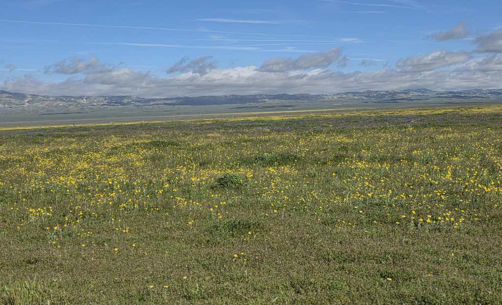 Splendid view from roadside