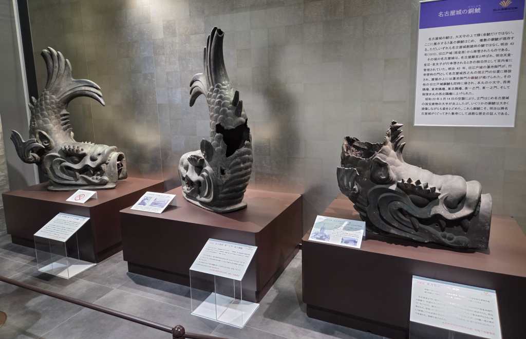 Museum Display