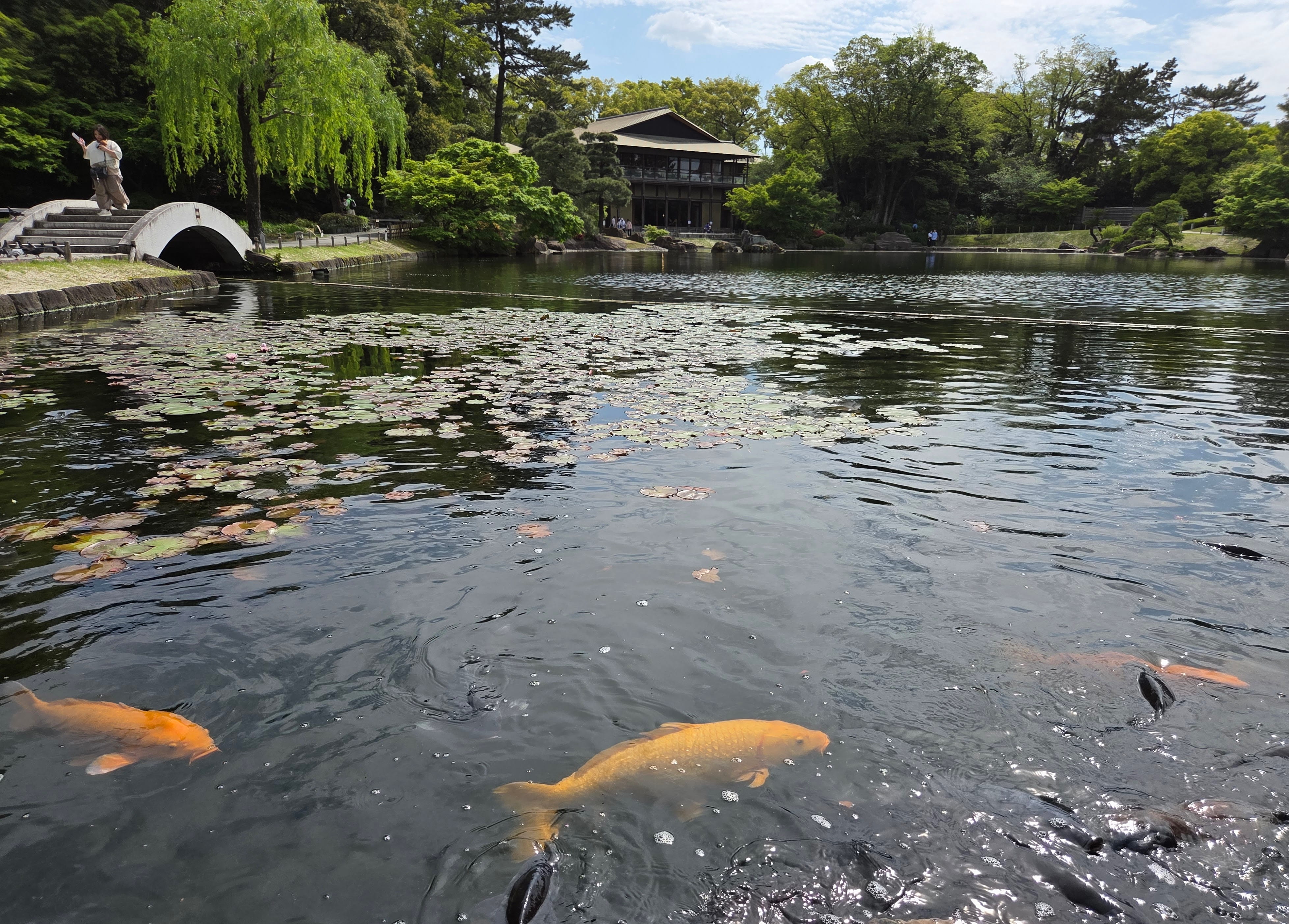 Tokugawa Garden lake