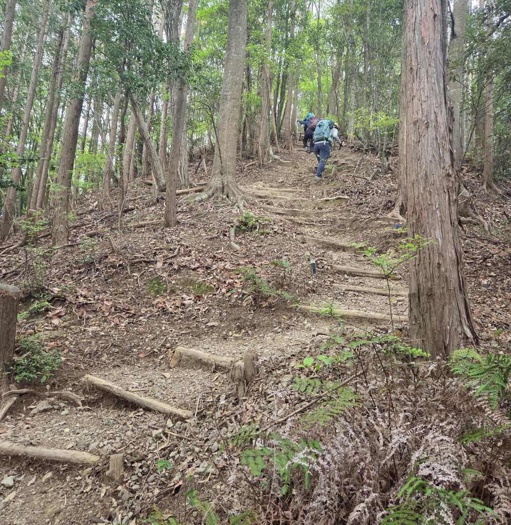 Steep climbing