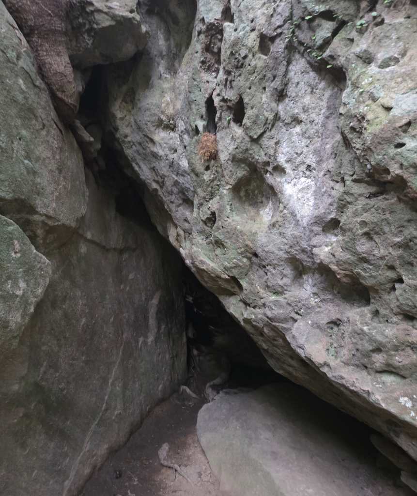 The Cave