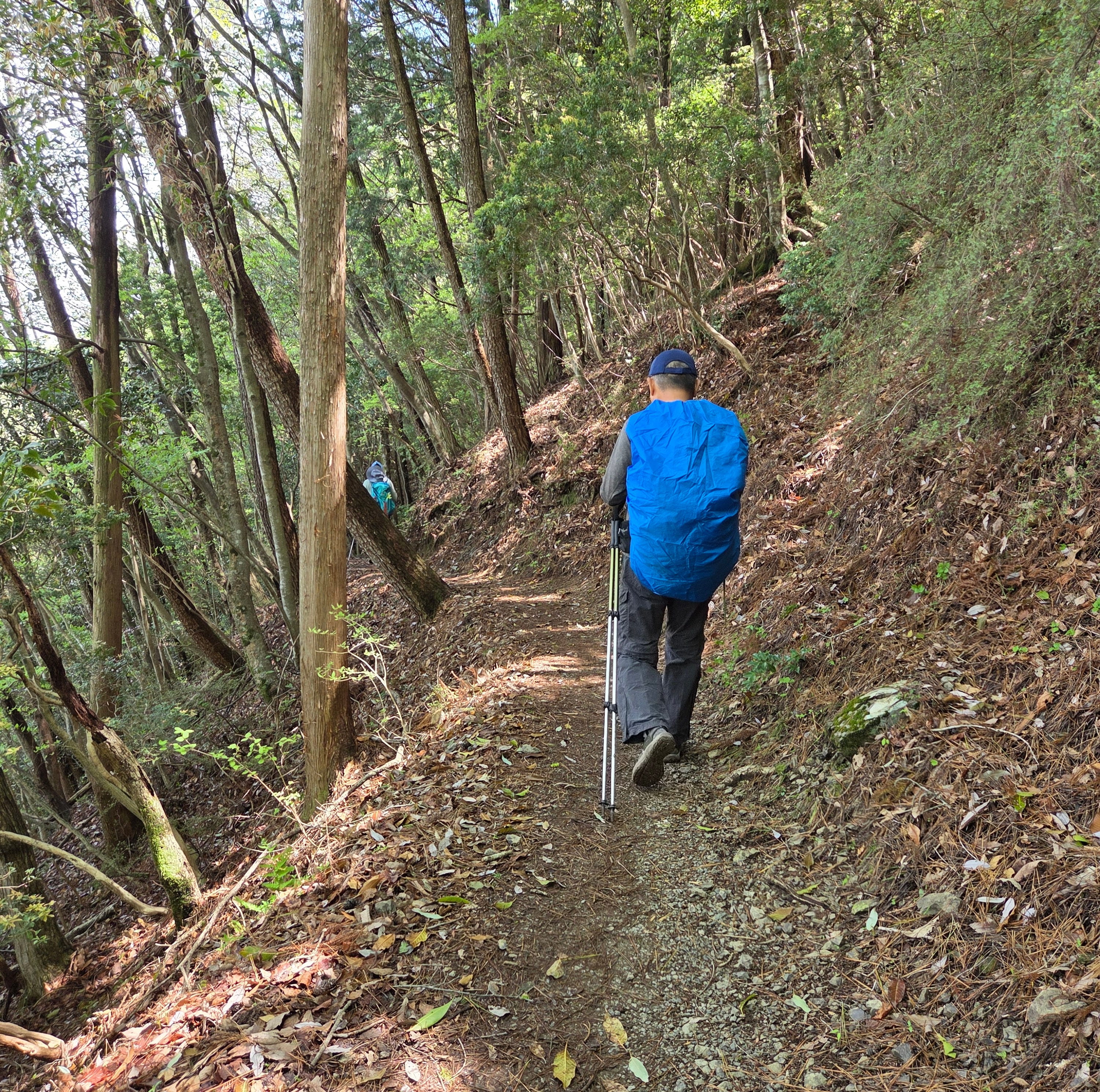 Hiking on Kumano Kodo