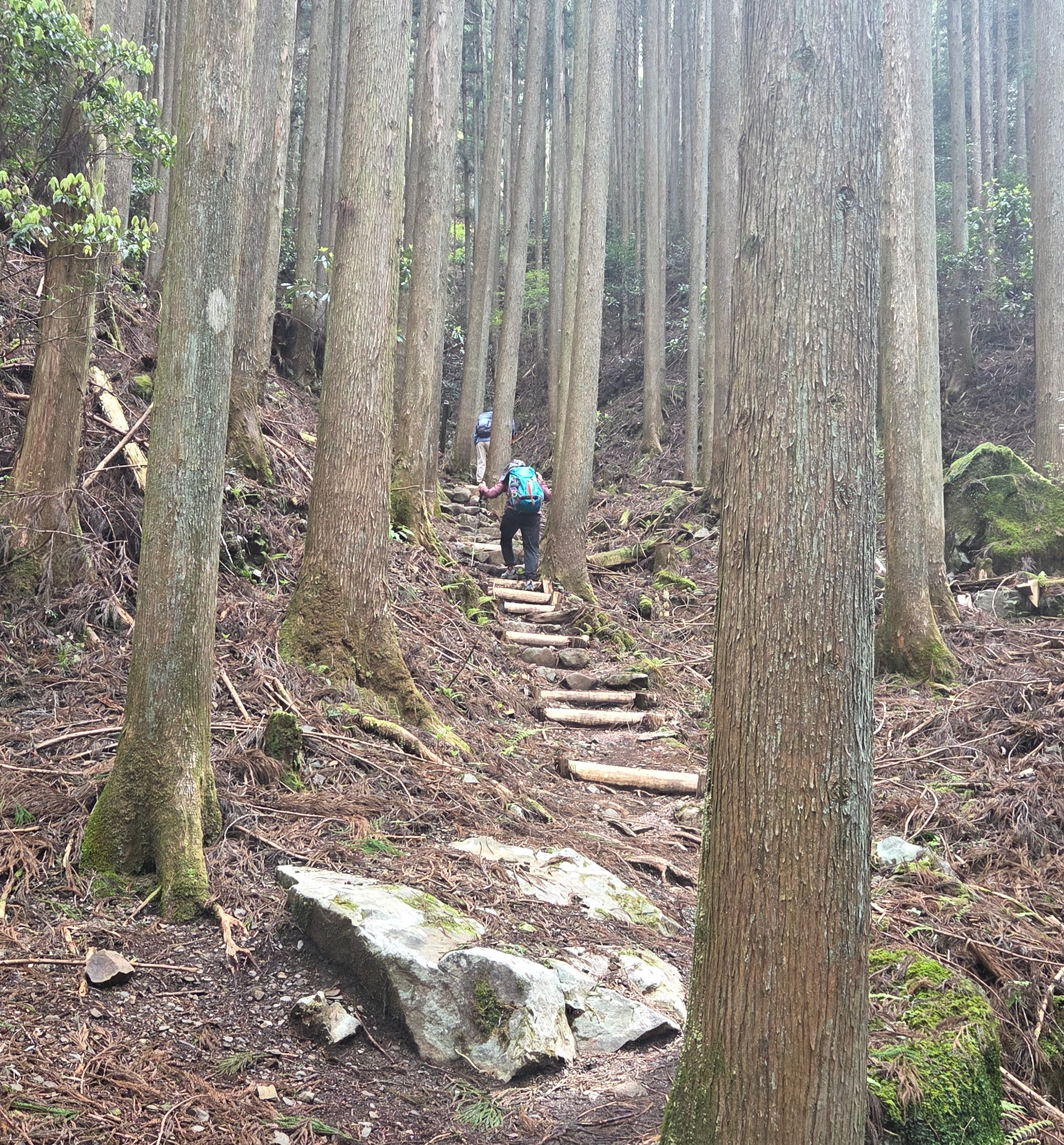 Steep uphill climb