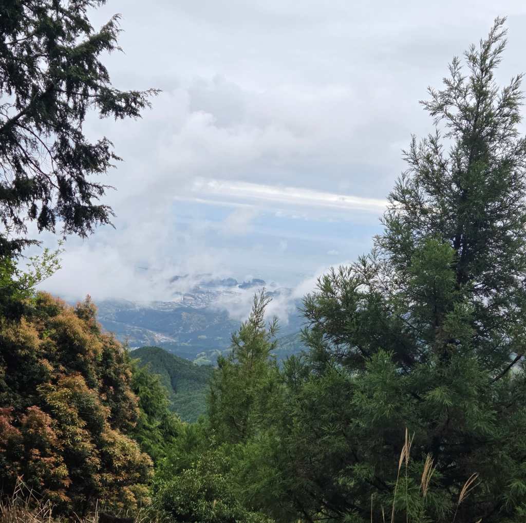 View from the lookout point