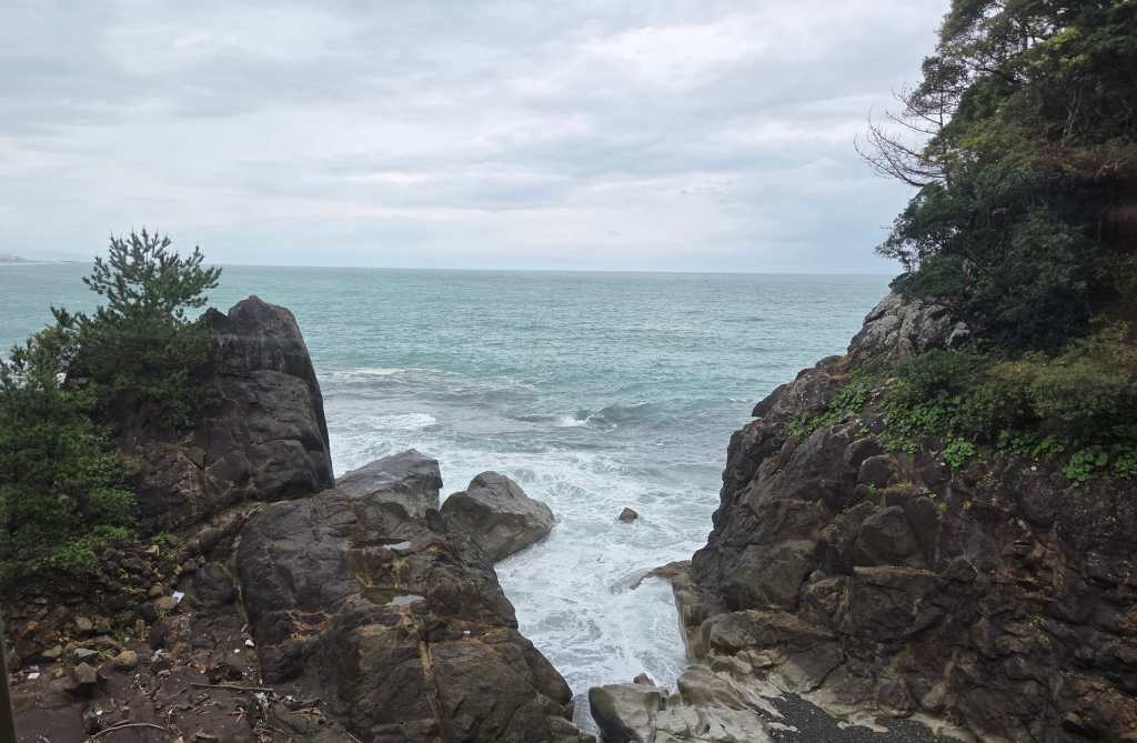 Scenic coastal view from the train