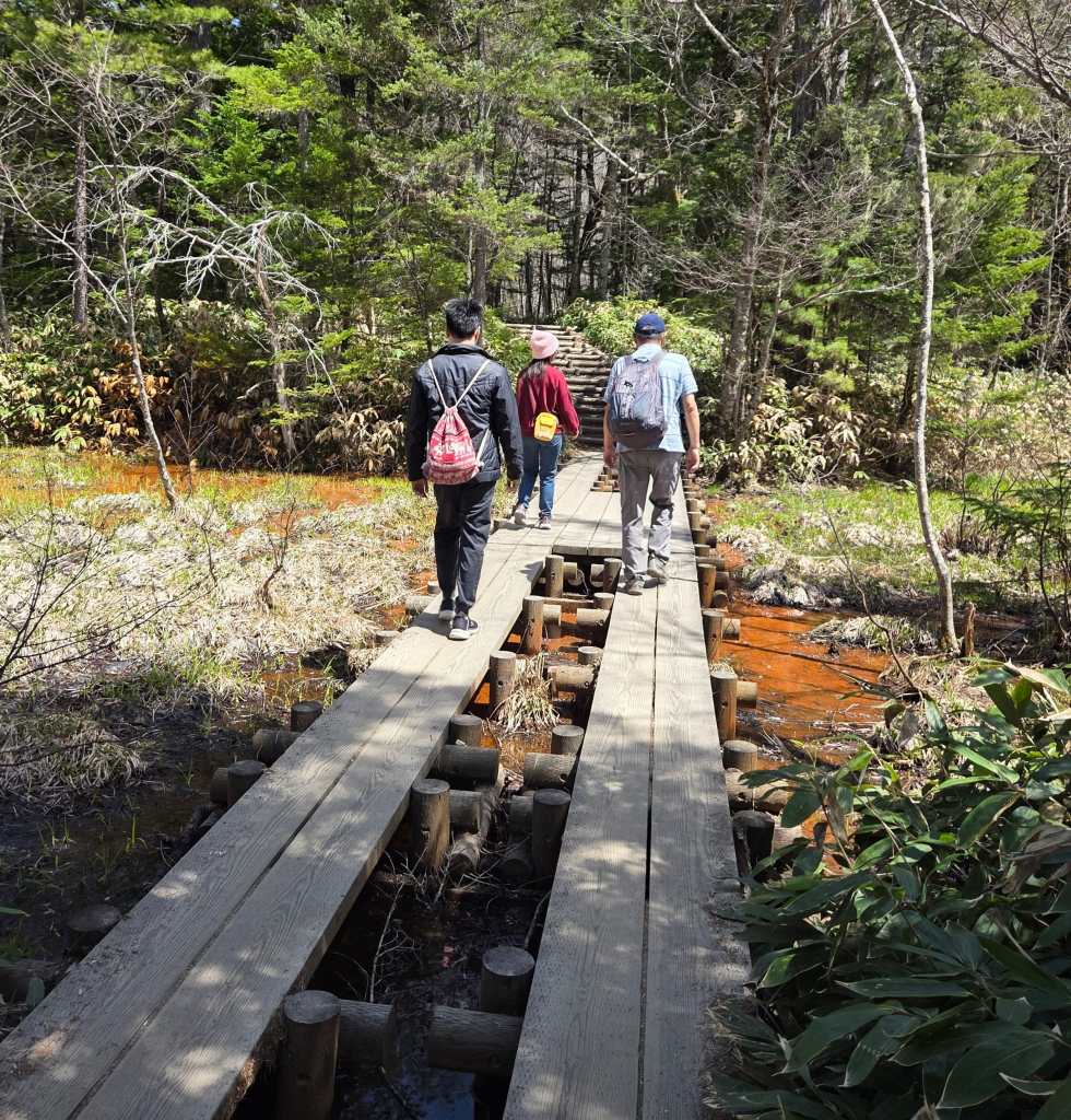 Walking through wetland