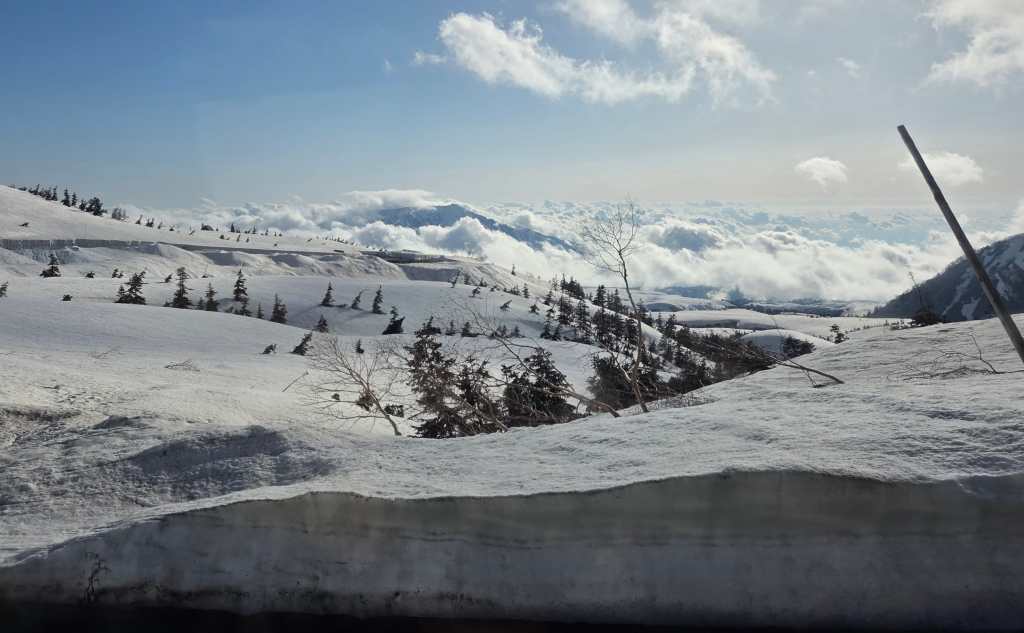 Magnificent view!