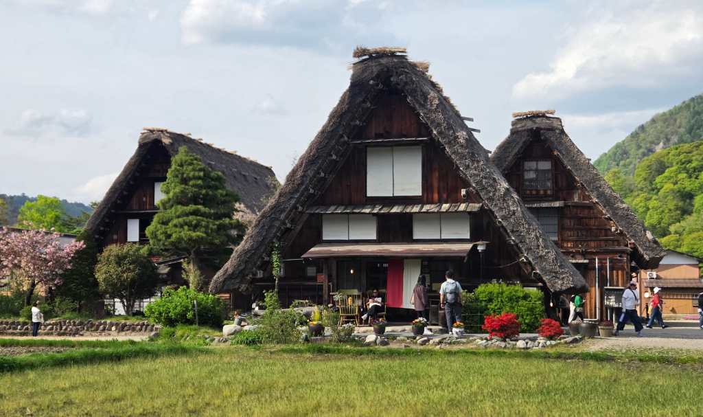 Thatch roofed houses