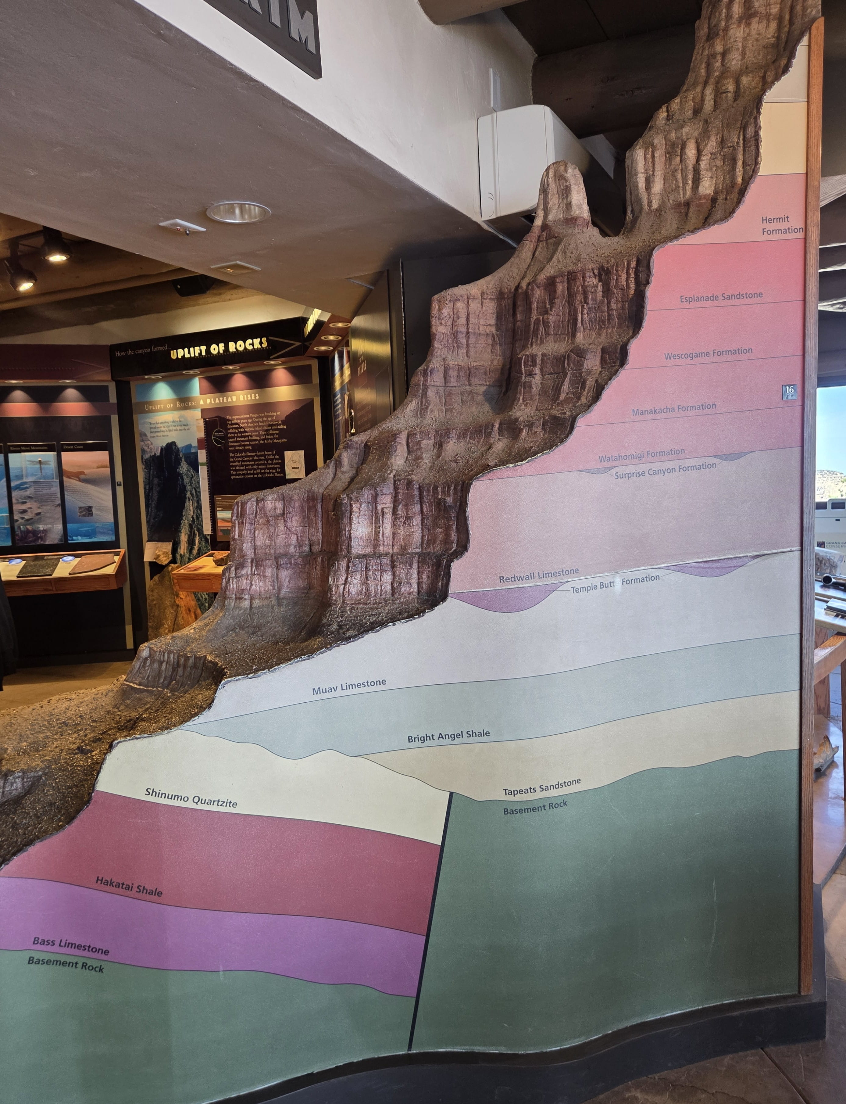 Inside Geology Museum