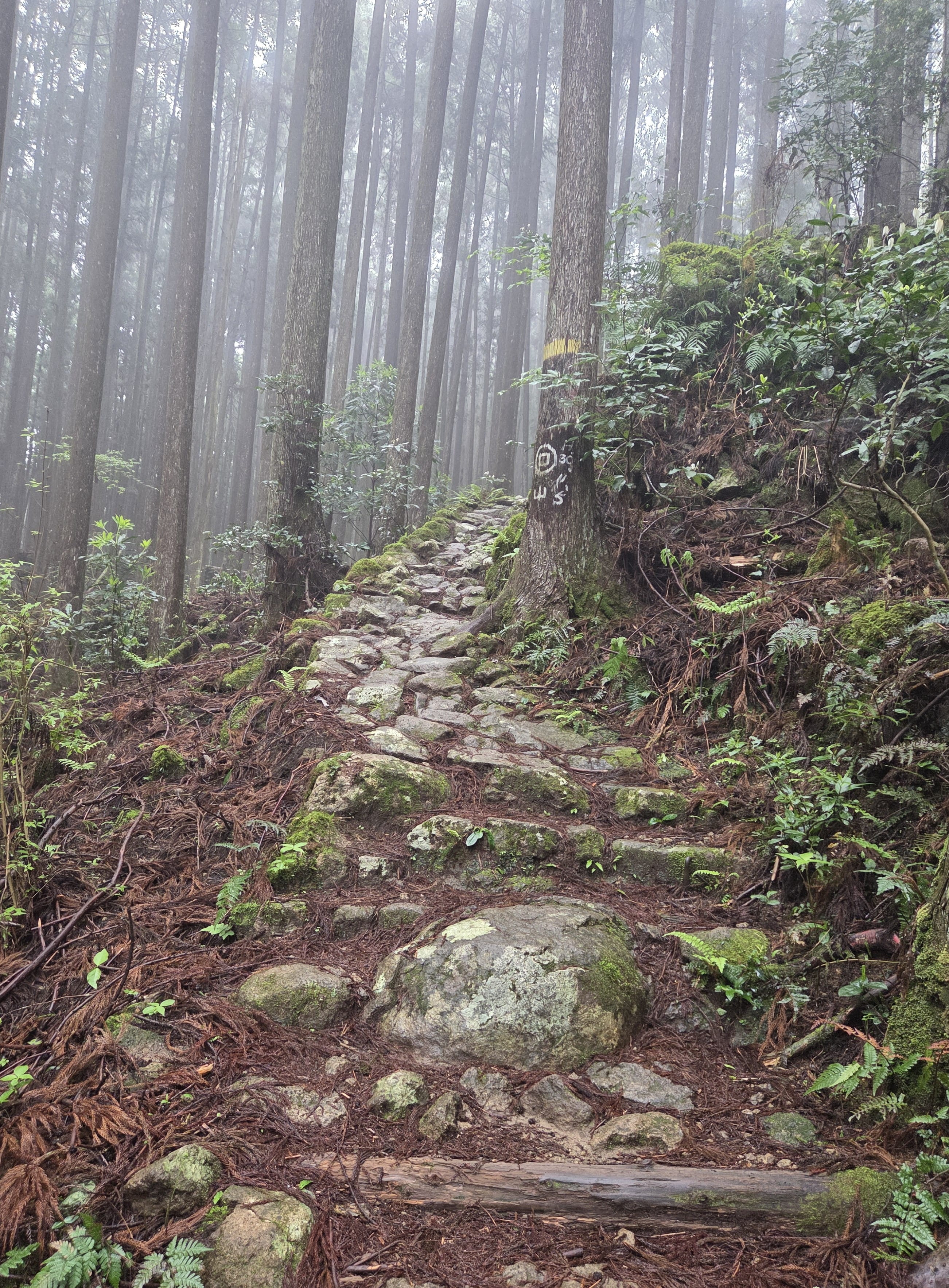More steep climb