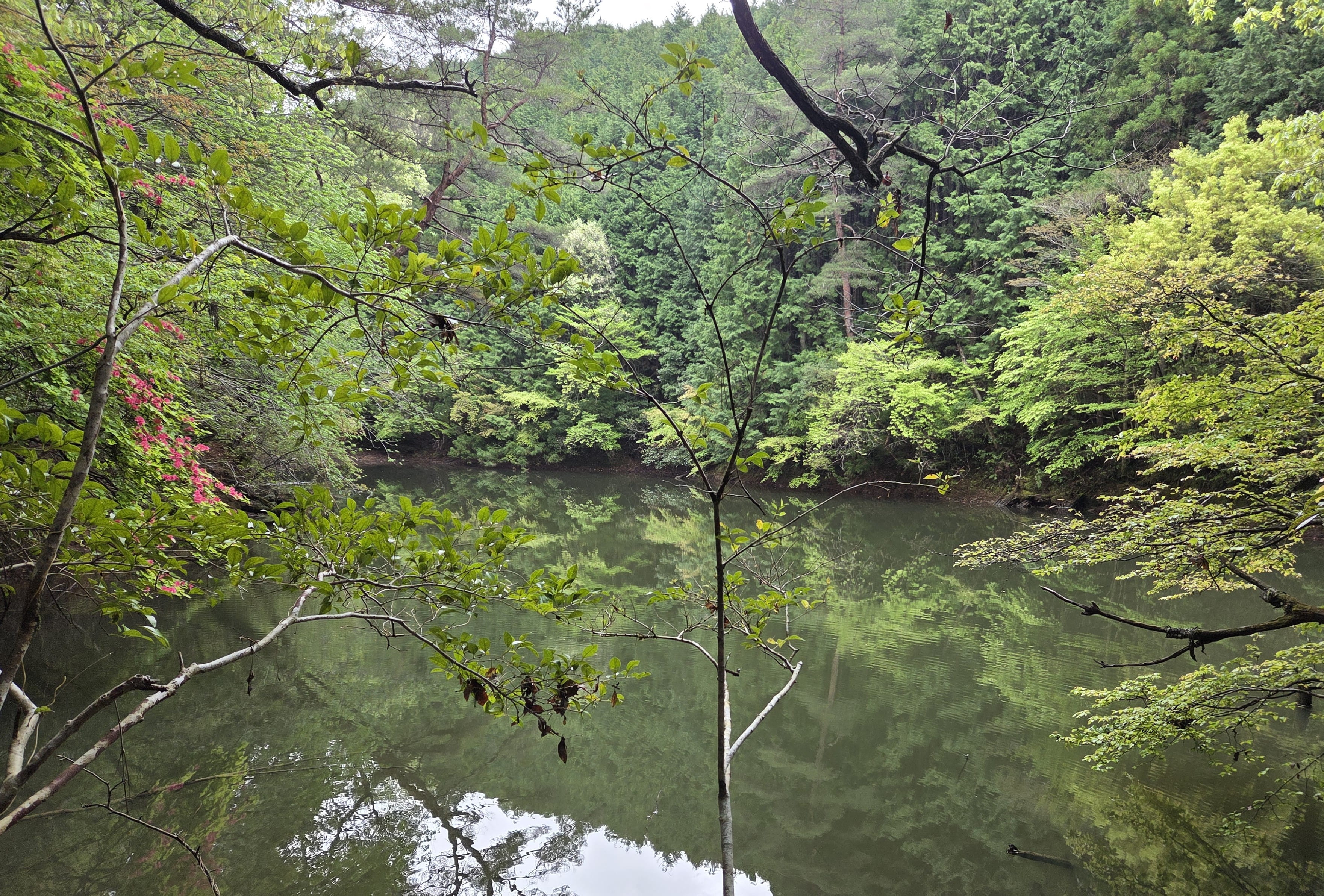 Picturesque Takahara-ike Pond