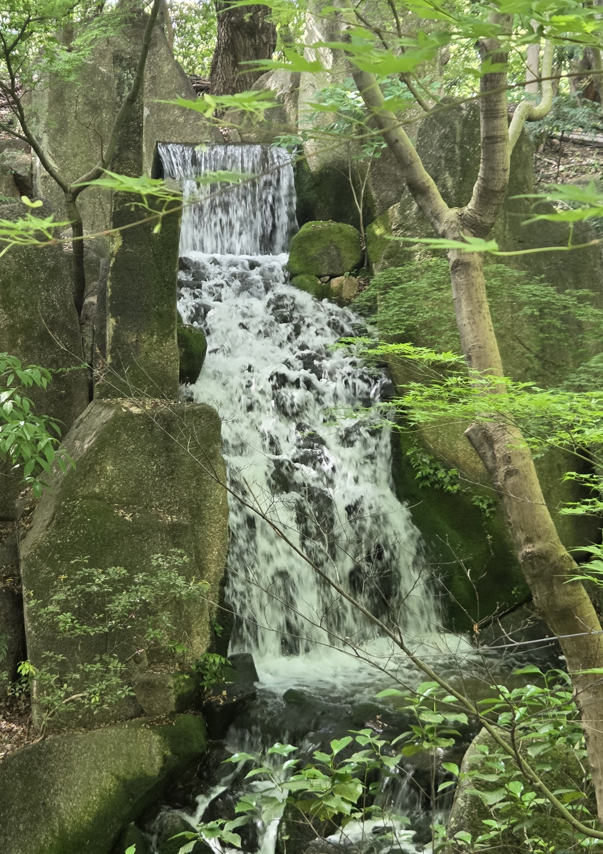 Tokugawa Garden Waterfall