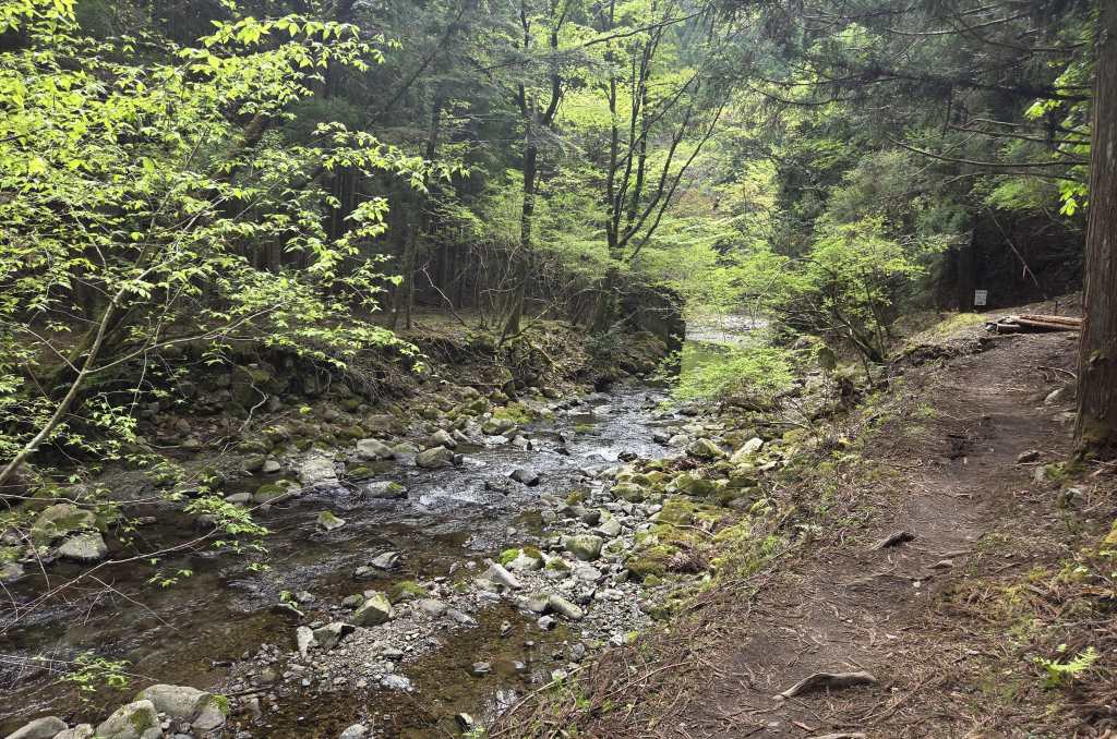 Scenic trail along a creek