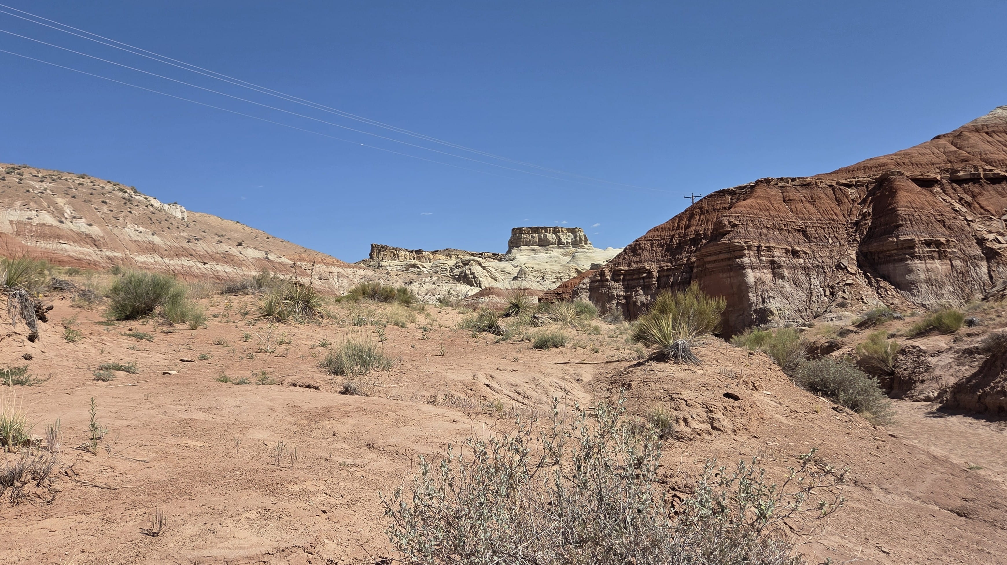 Trail View