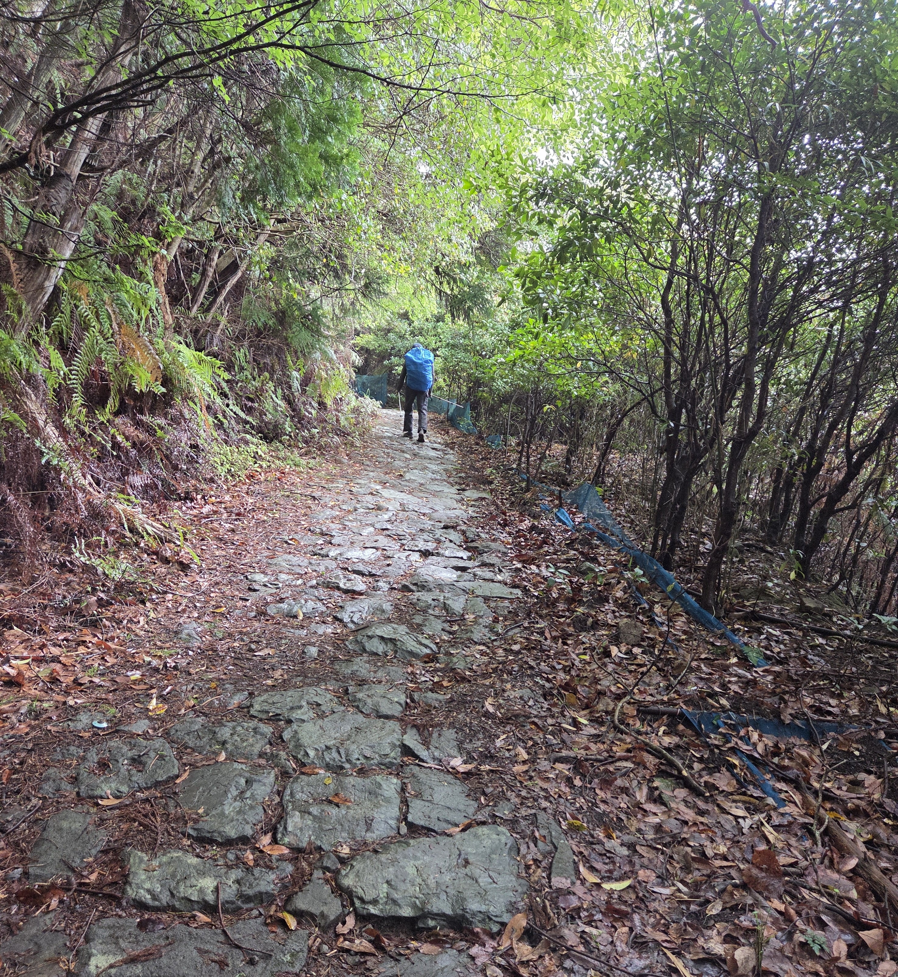 Uphill Climb