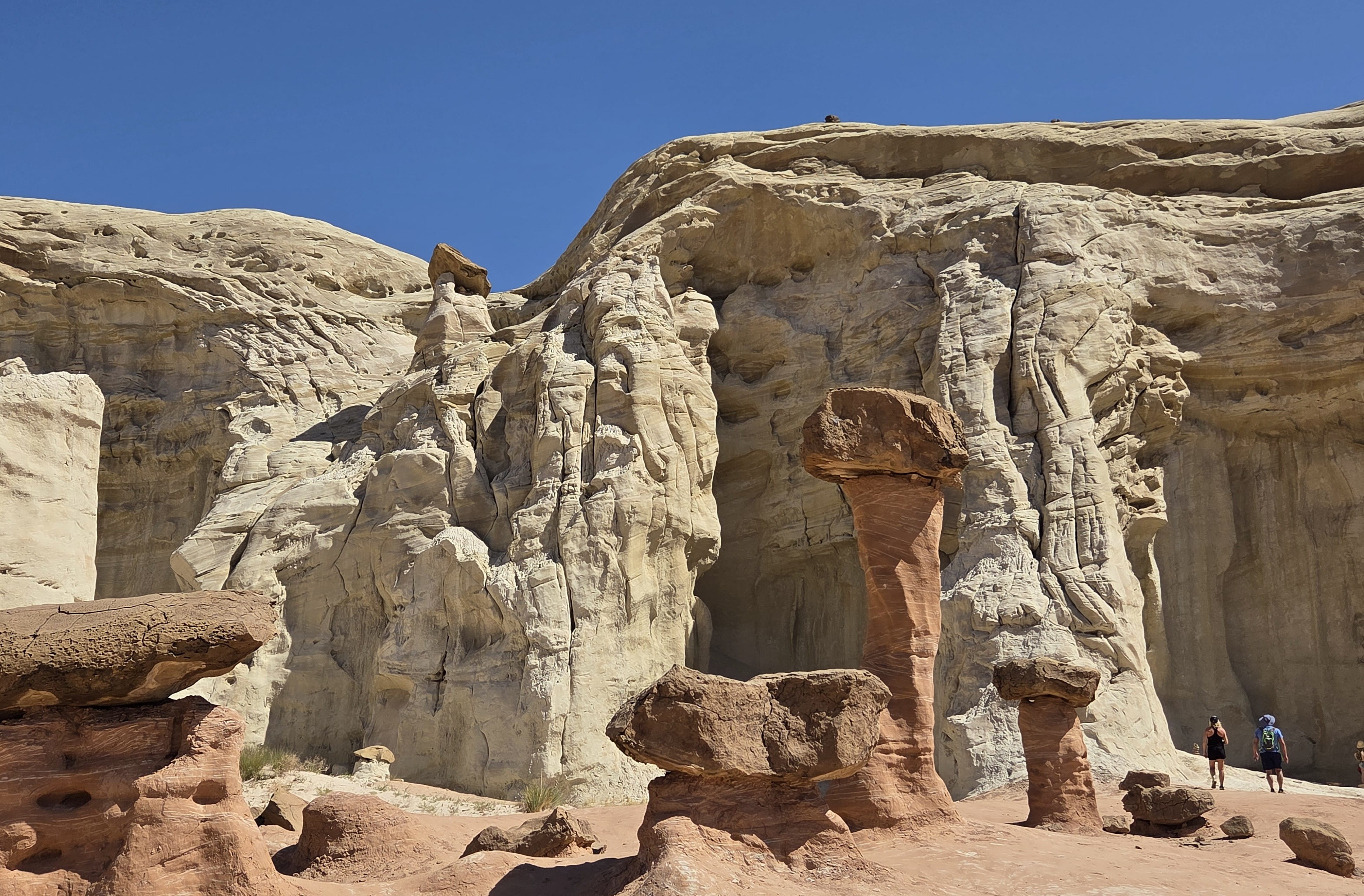 White Cliffs with Mushroom Rocks