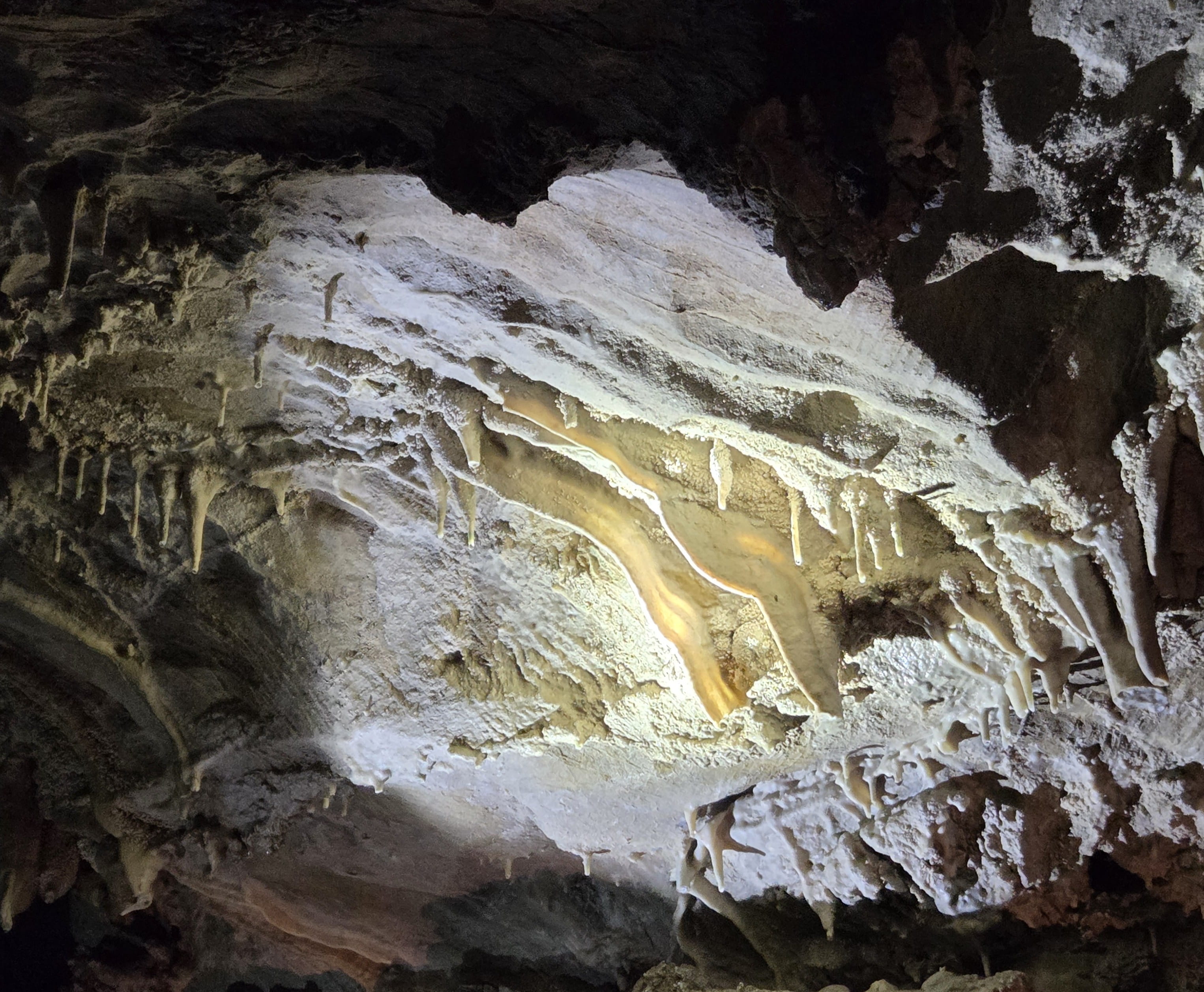 "Cave Bacons"