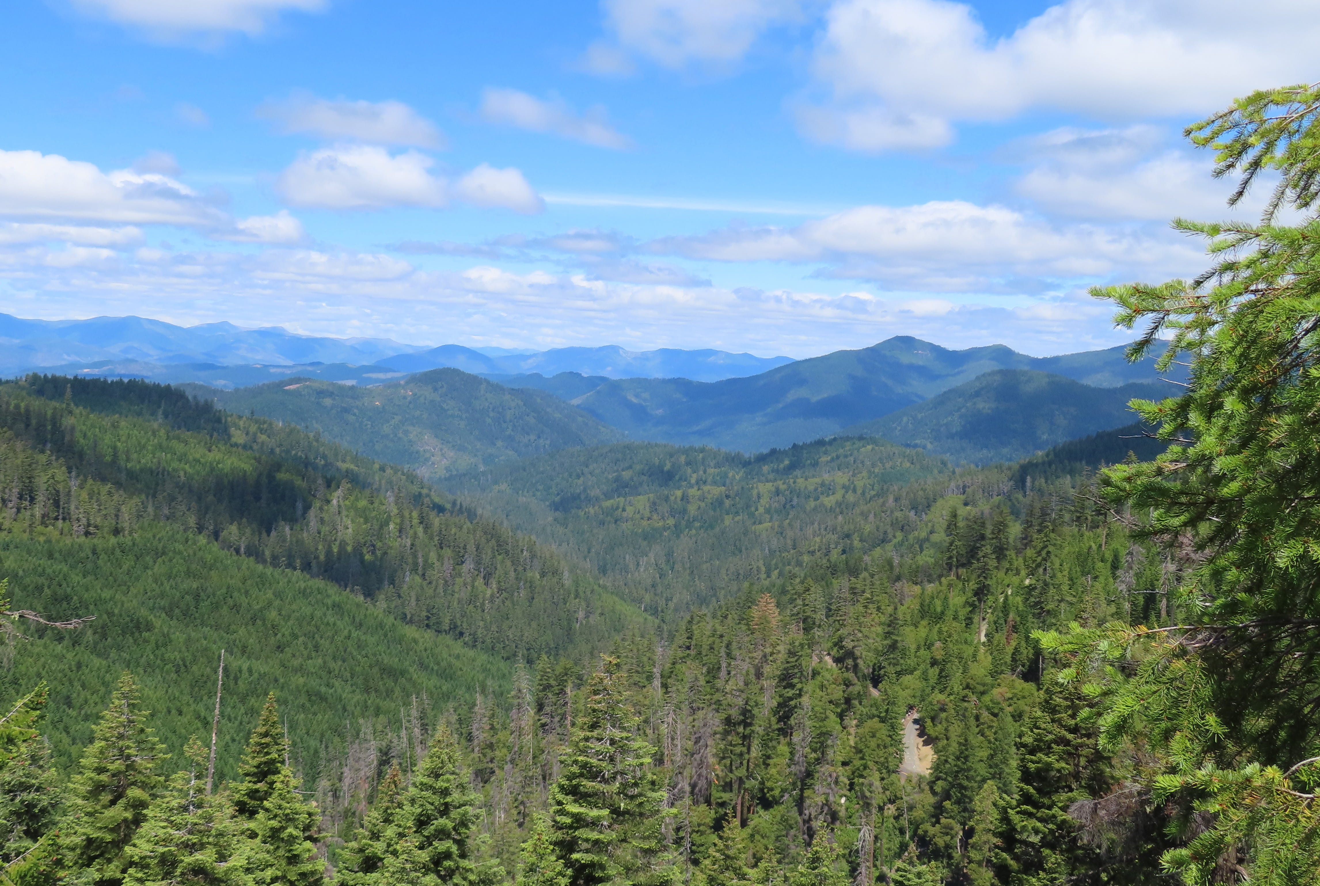 View from Cliff Trail