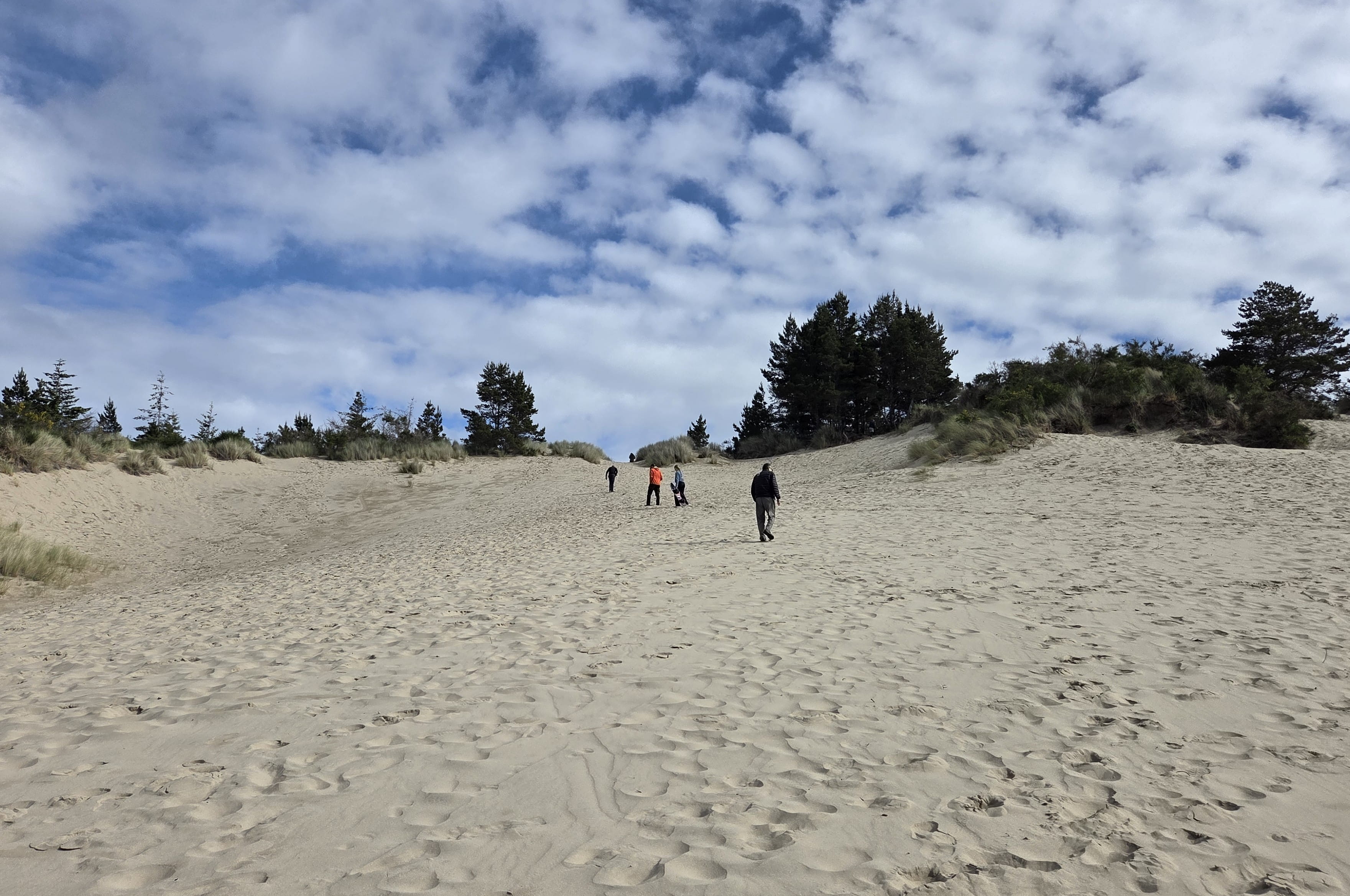 Oregon Sand Dune