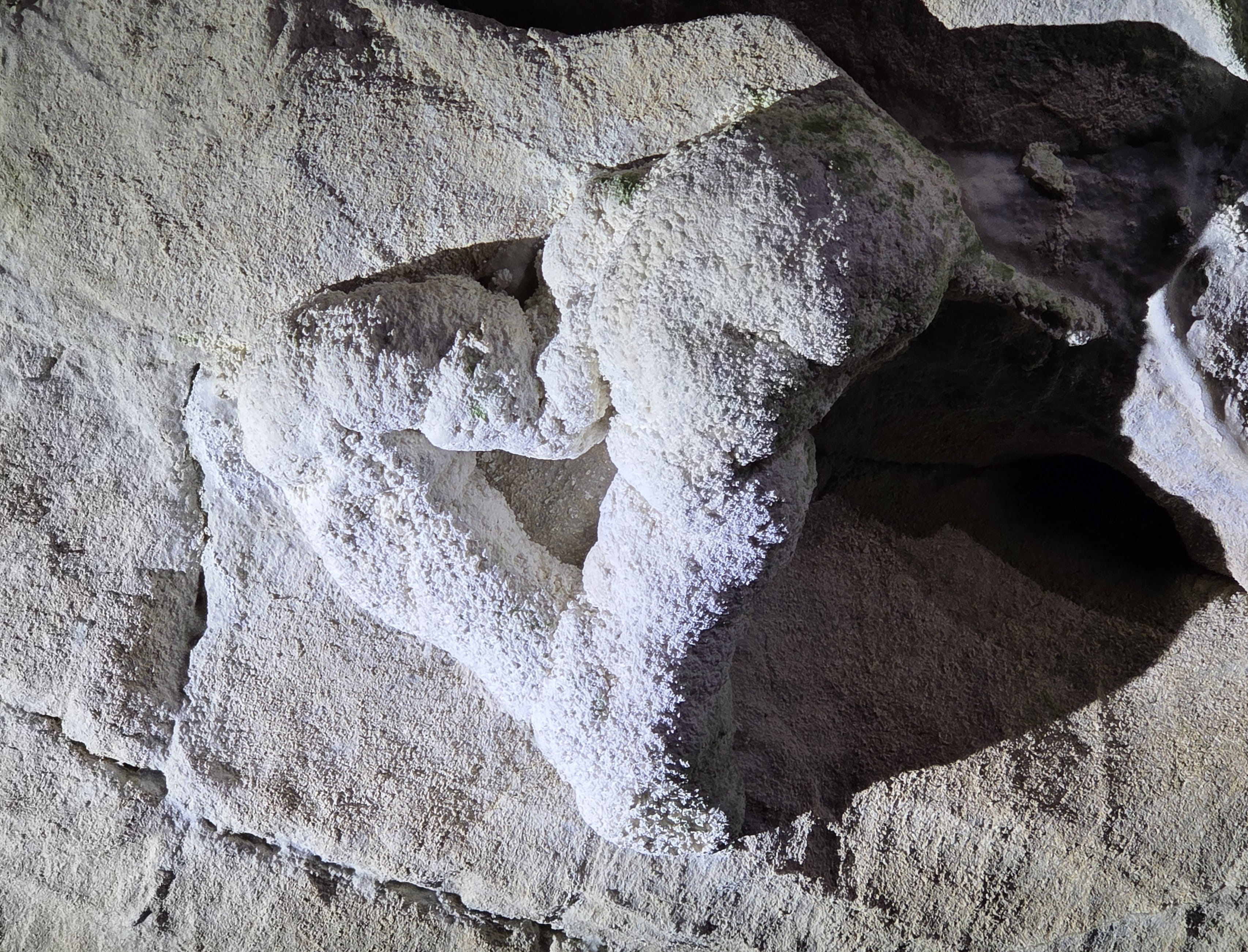 "Heart of Oregon Cave"