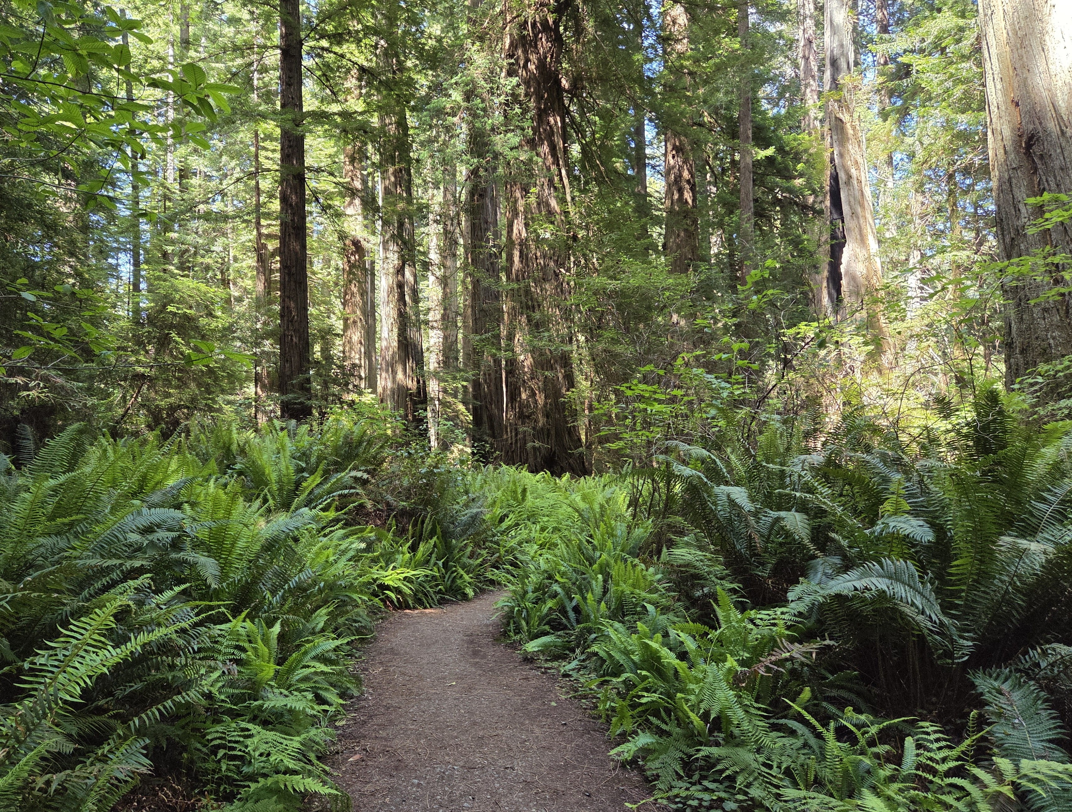 Karl Knapp Memorial Trail