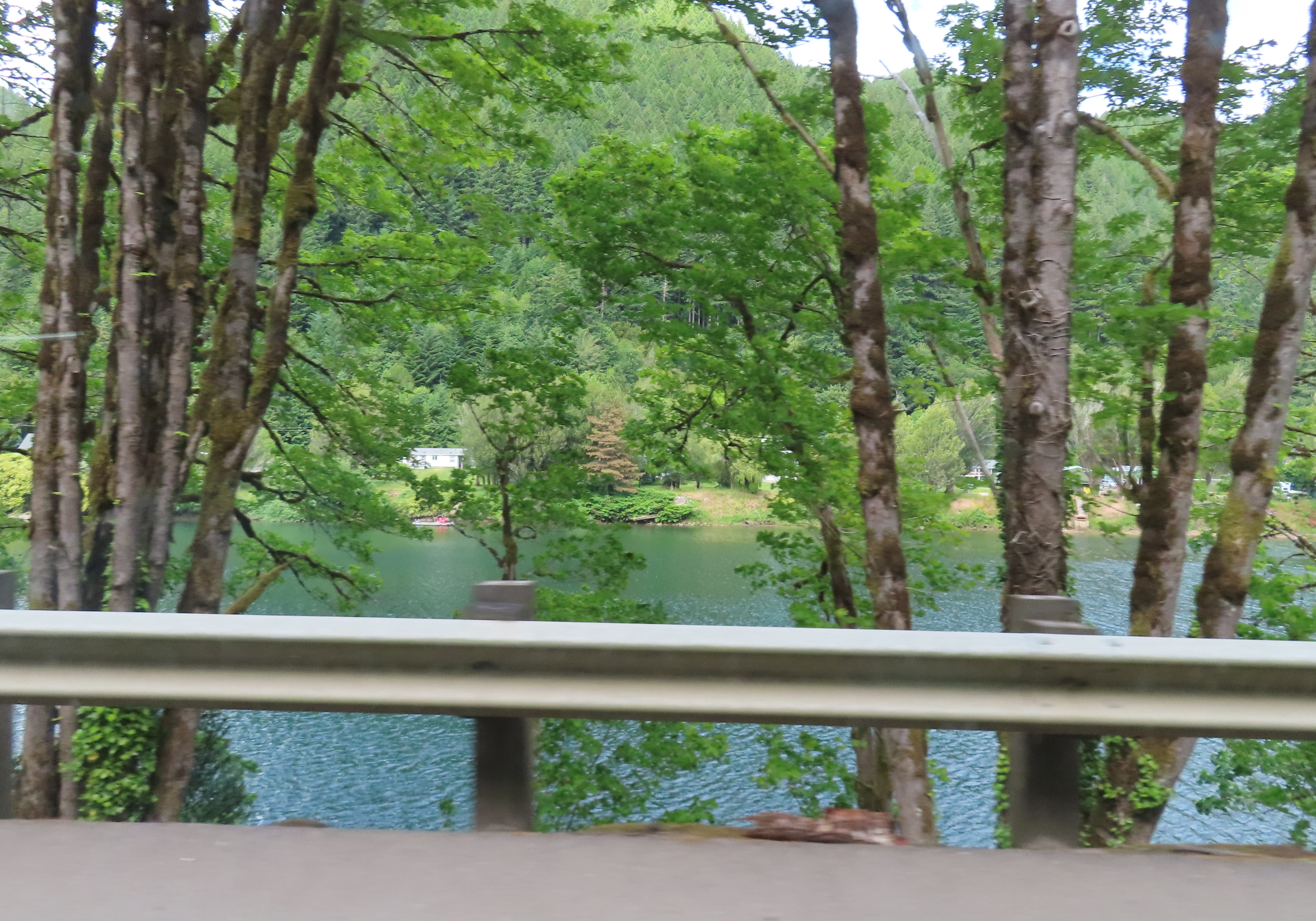 Umpqua River View